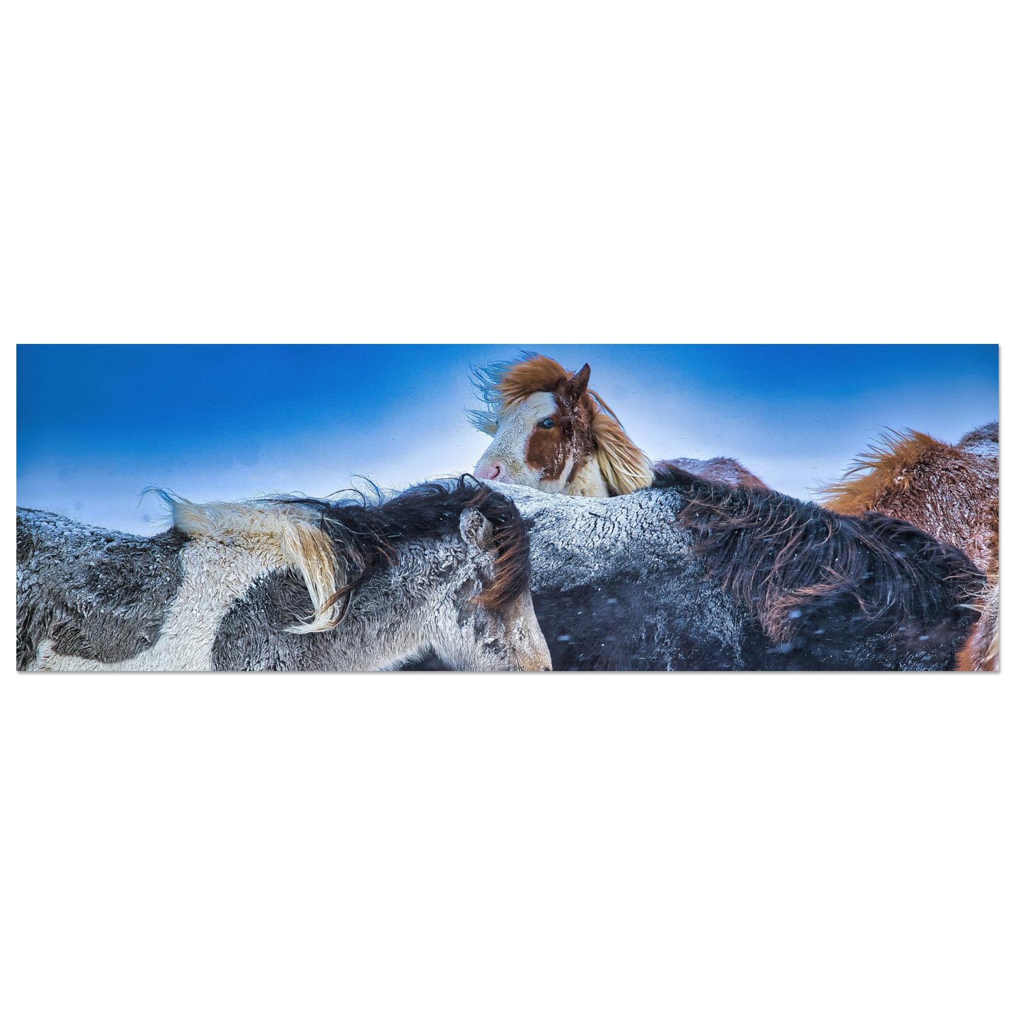 04f2e849-b4bd-4111-ab9a-84d57139016a