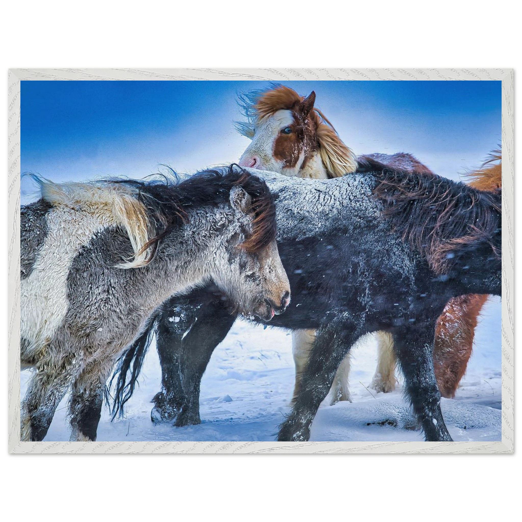 06808280-ed0a-4f6b-b9e5-00dffff49770