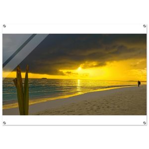 0ed45523-306f-49d8-b2c7-b06234573065