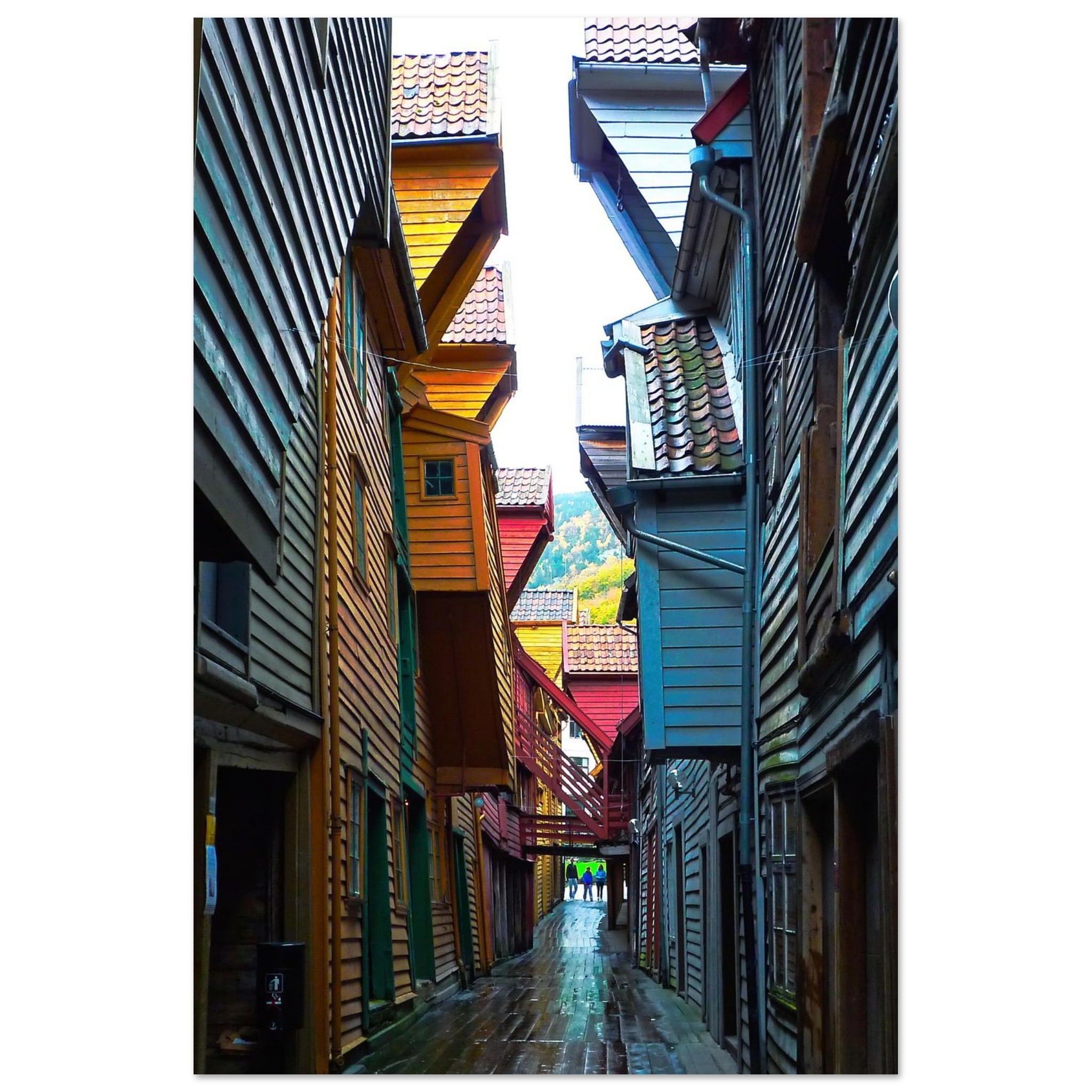 11a21e83-3c9d-4724-9707-4da13da06e69