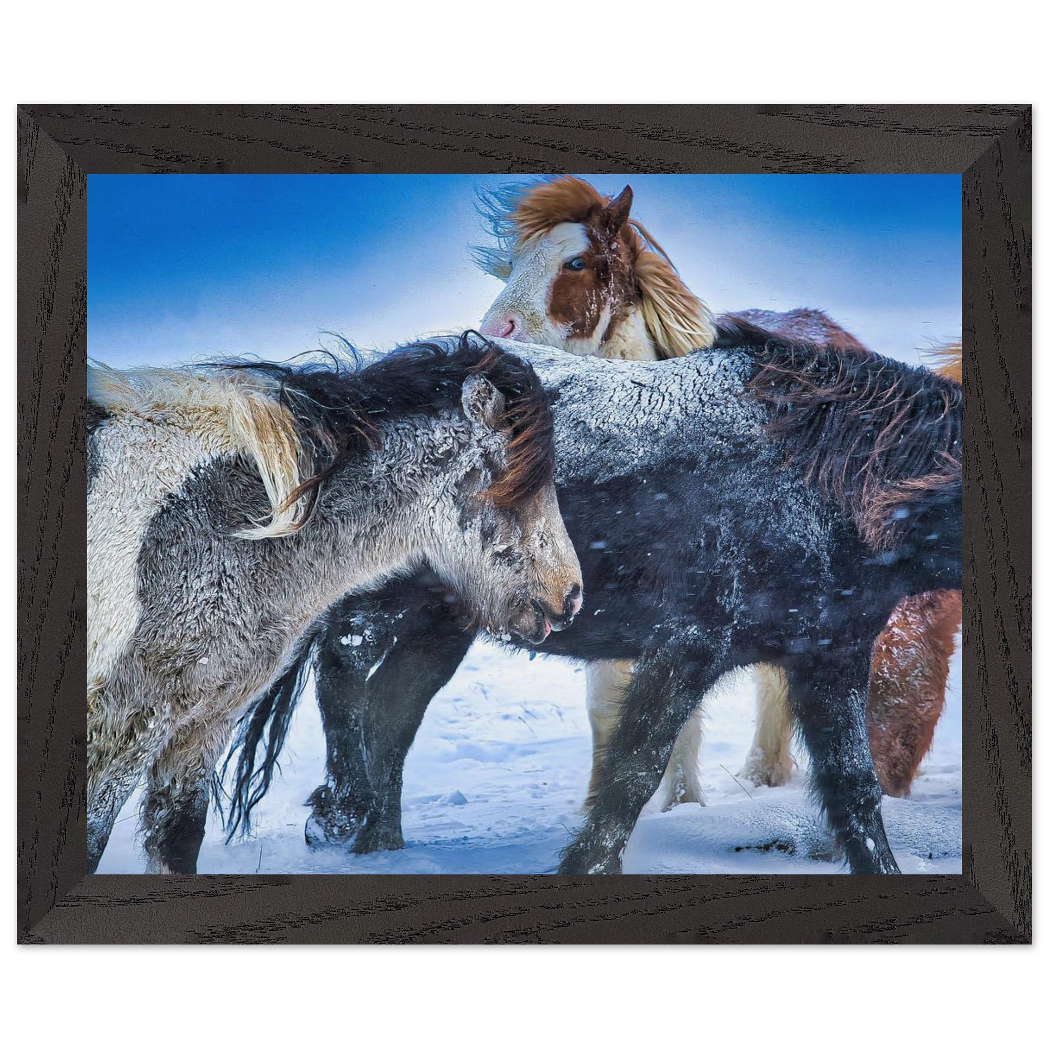 139bf8d7-91f7-43fd-b92e-6b16ef187b5e