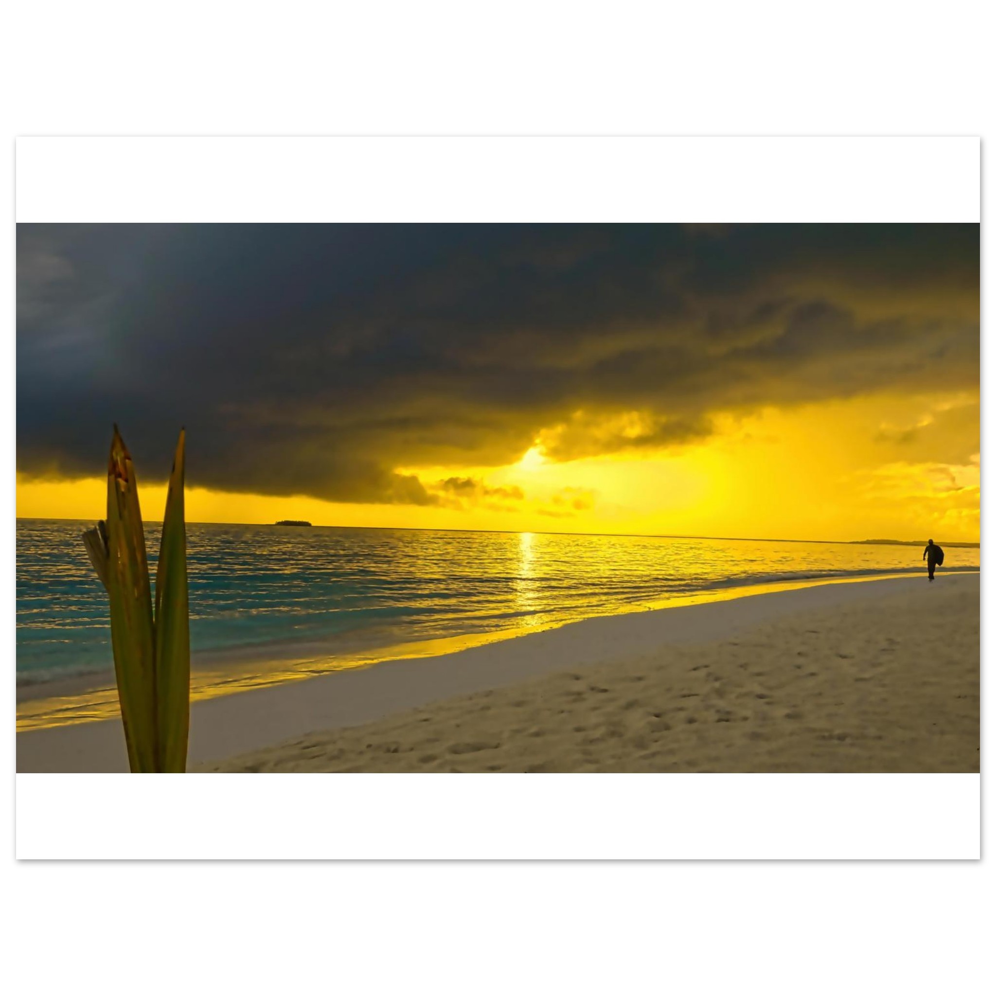 18cf679c-d3ad-4d65-8bab-90dcebcd4ac7