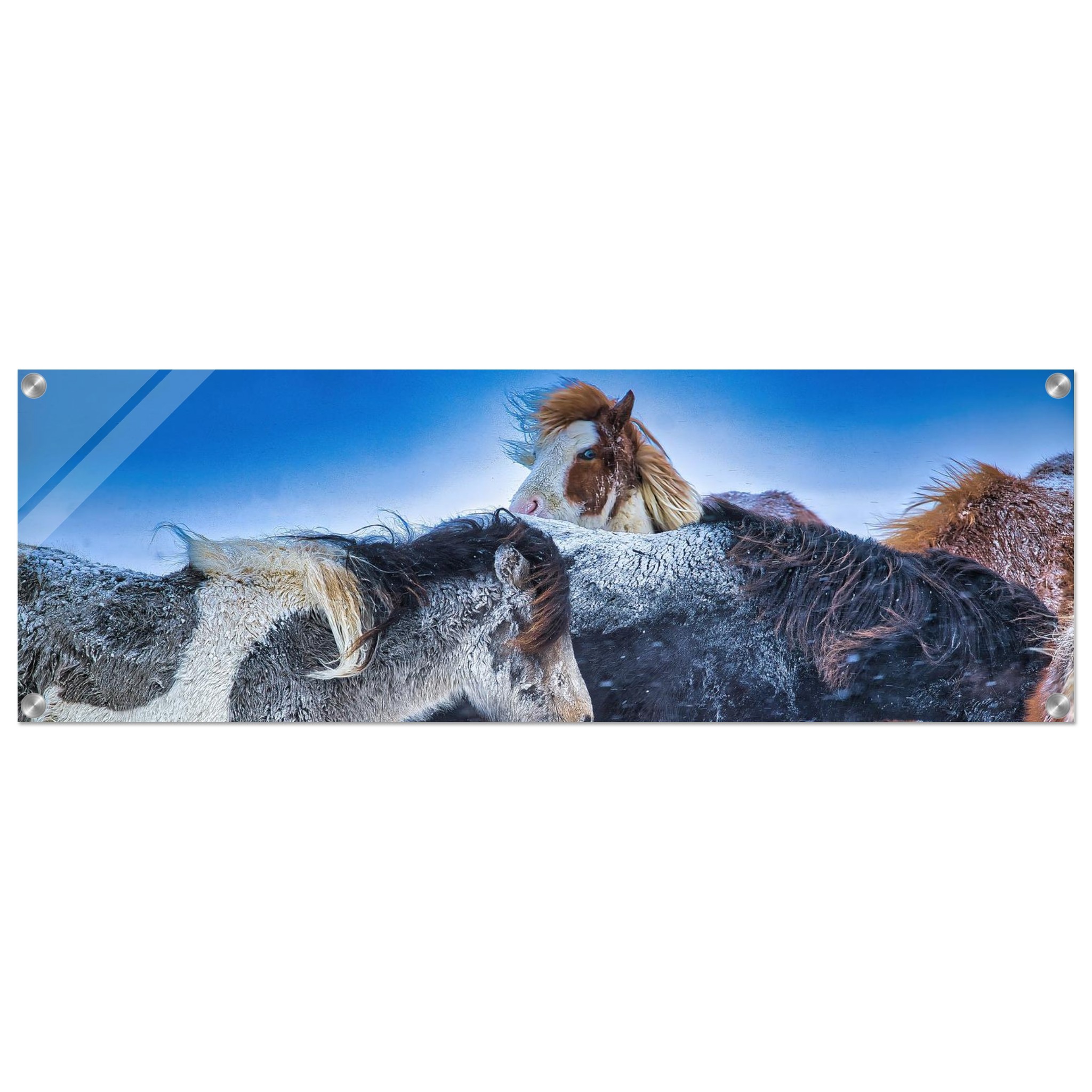 1d1a47b6-9a7f-475b-8252-d734f1726cc9