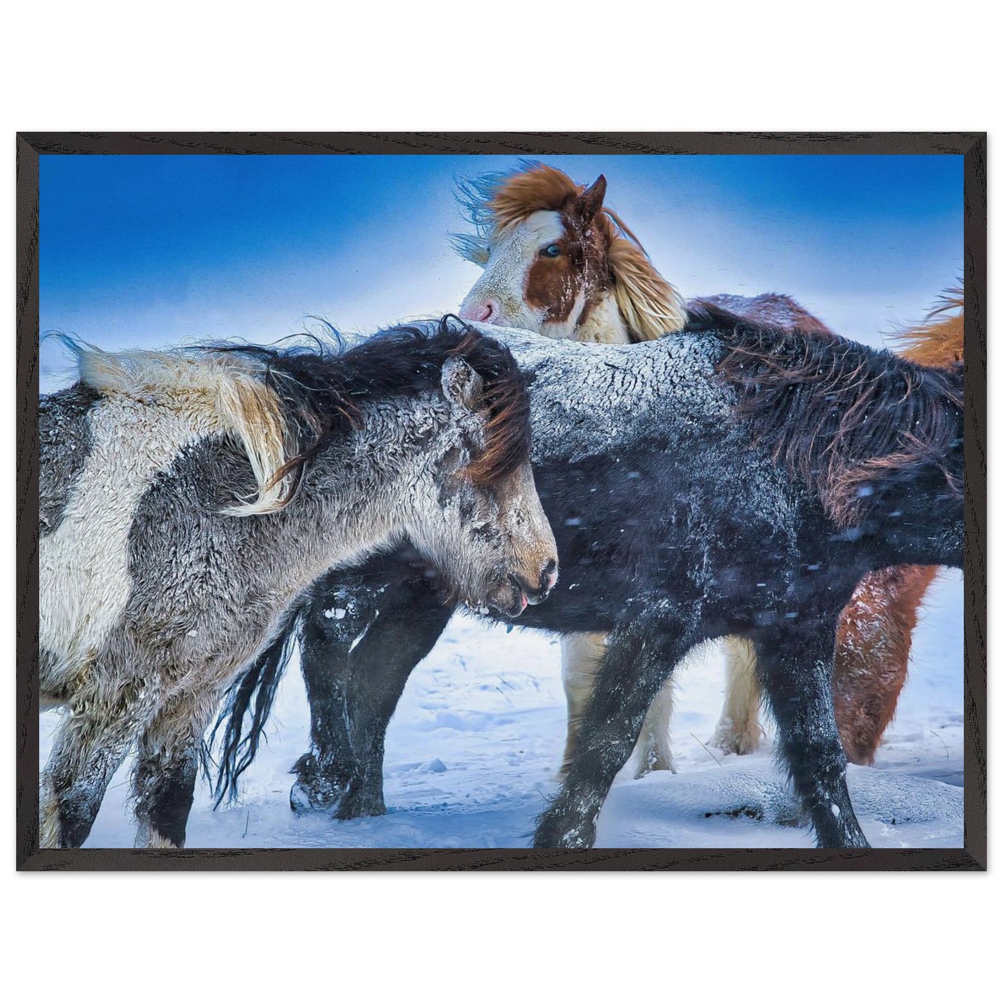 244717e1-9bfe-4ba0-8f43-da0abc7722fb