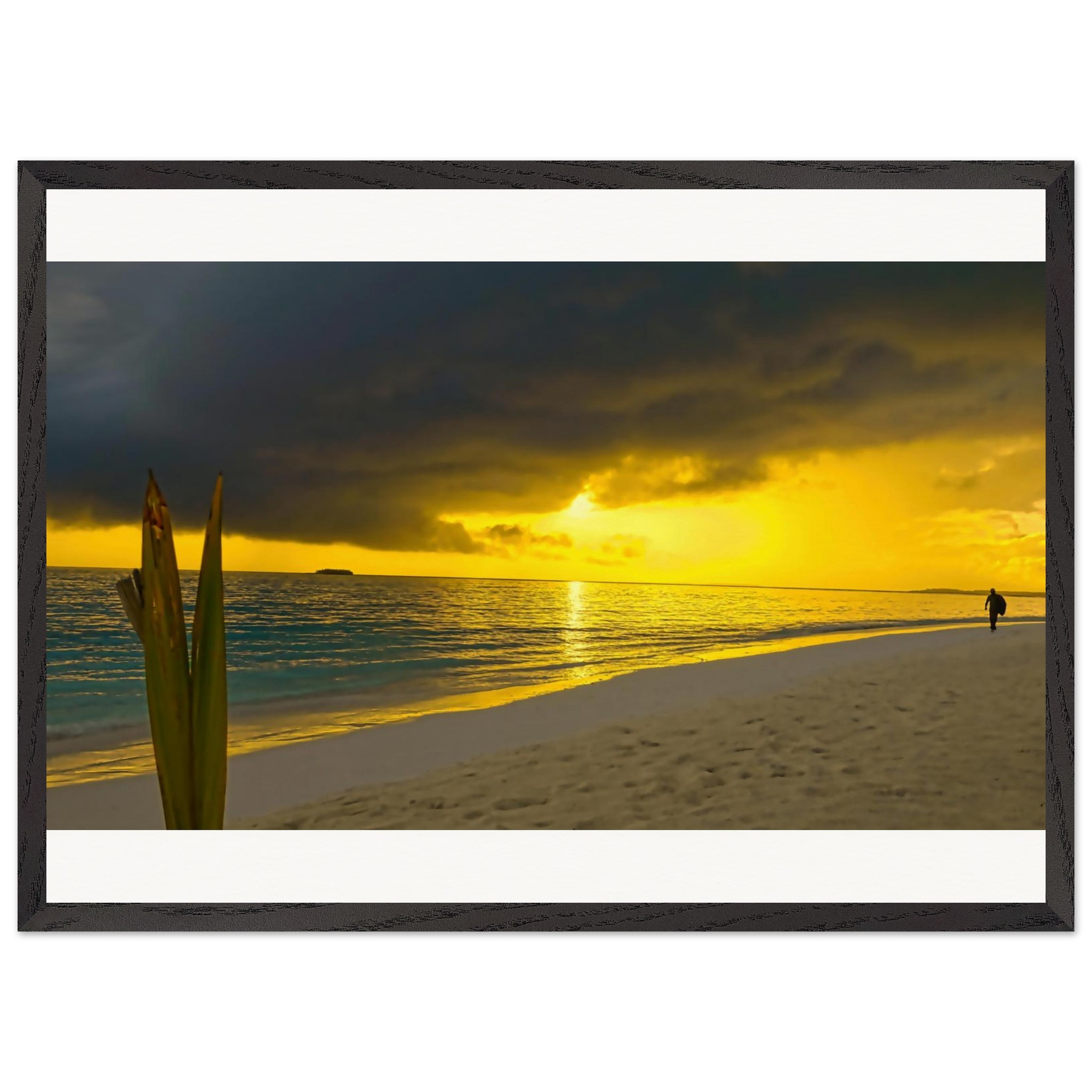 25954c00-977d-4ecd-9d60-8b5032c3c227