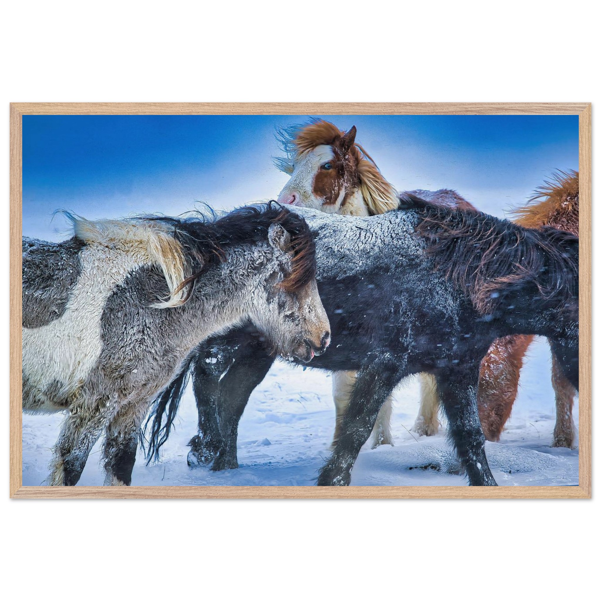 2642b970-08ca-4f5a-bdeb-b9e4d6cfec02