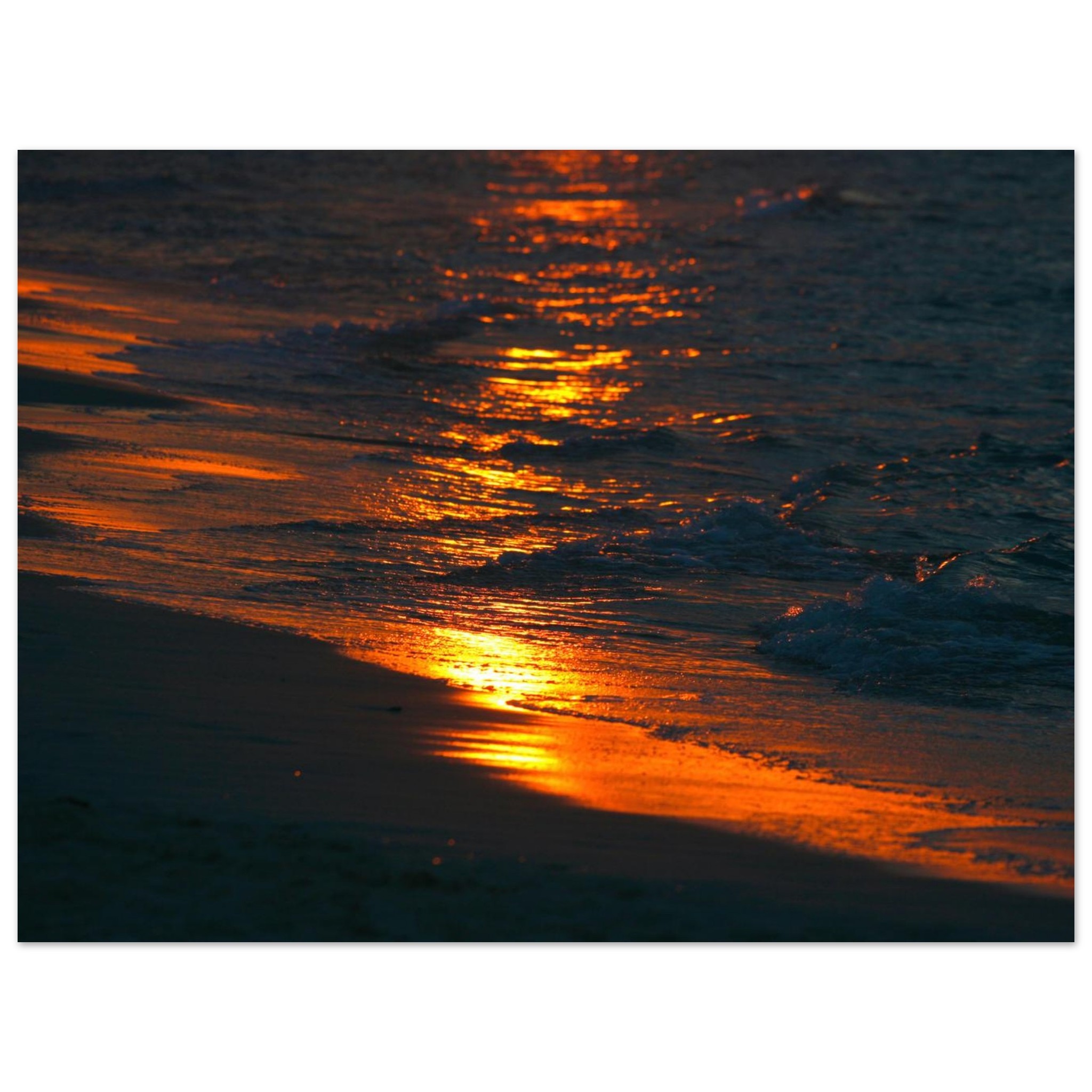 269a738f-c505-4a26-b82f-3c2ac7431ac2