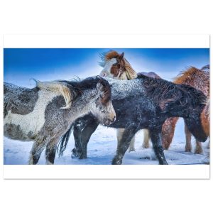 29448c06-e256-4e3a-8fa6-dba5a6f076d2