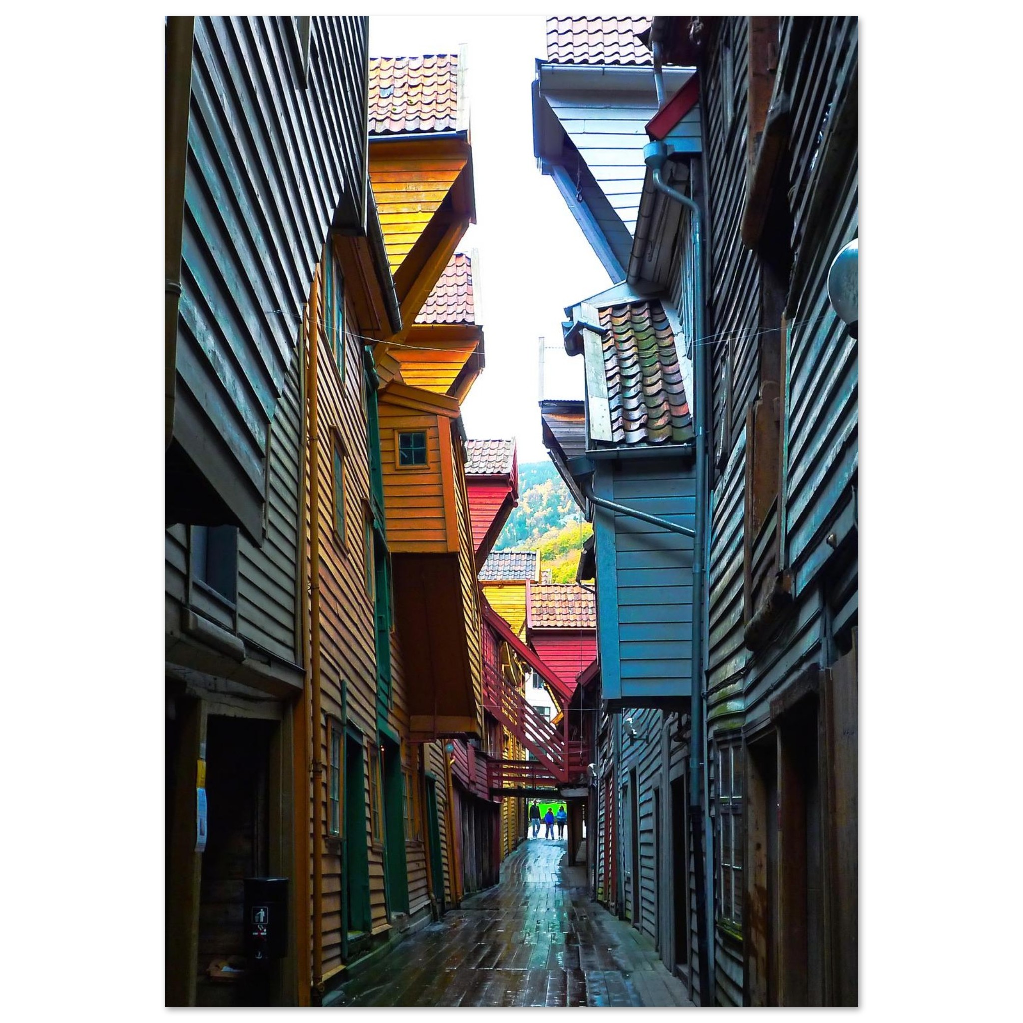 2b86b36a-84bc-482a-92ba-03e4eba31771