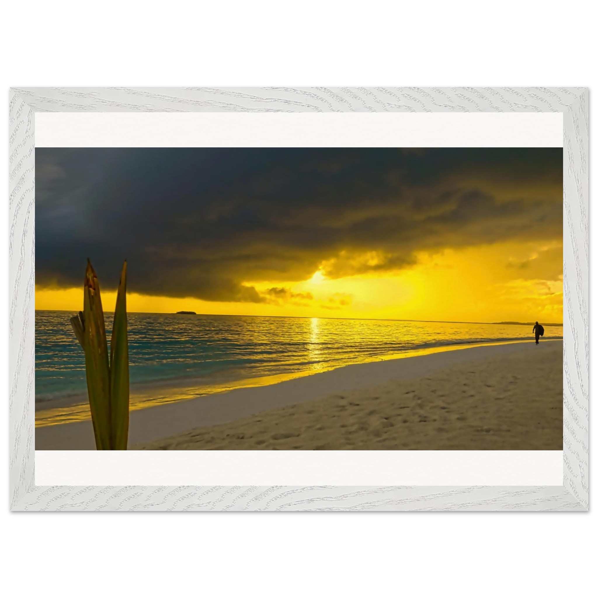 2c0db276-27de-4211-aa65-494665deb77d