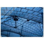 2d6cafdc-5df8-41a7-b31d-9941d502285b