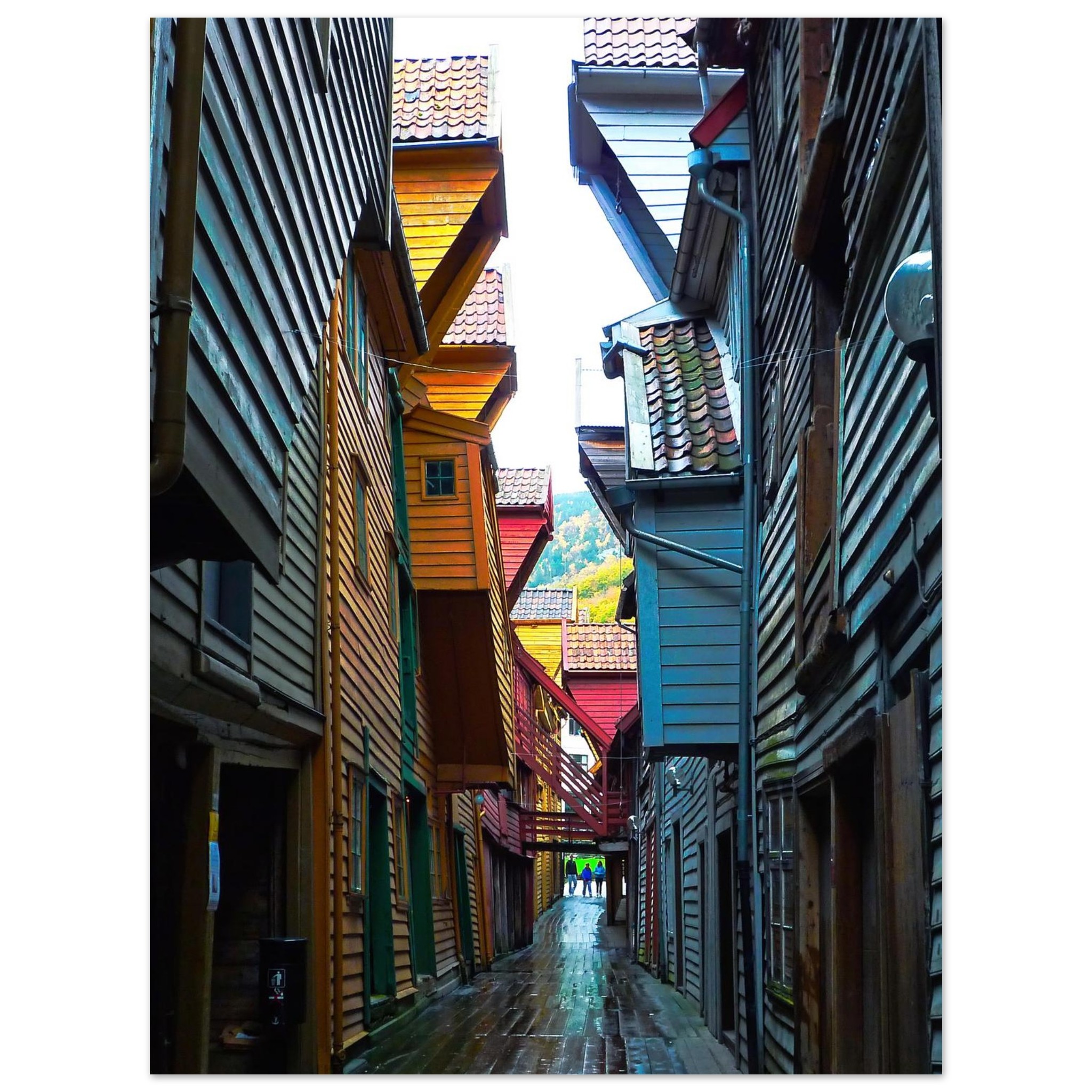 2f9095f5-b18c-4eee-9349-248518909175