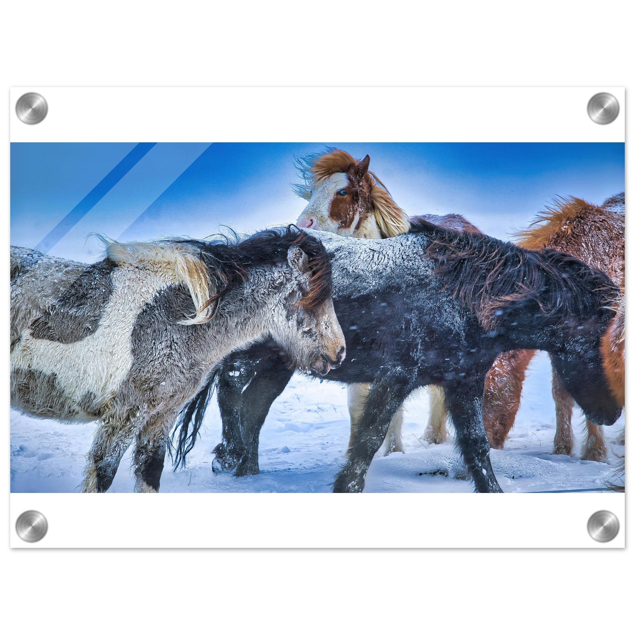 326d3c08-93cc-4b79-9893-204382b69b43