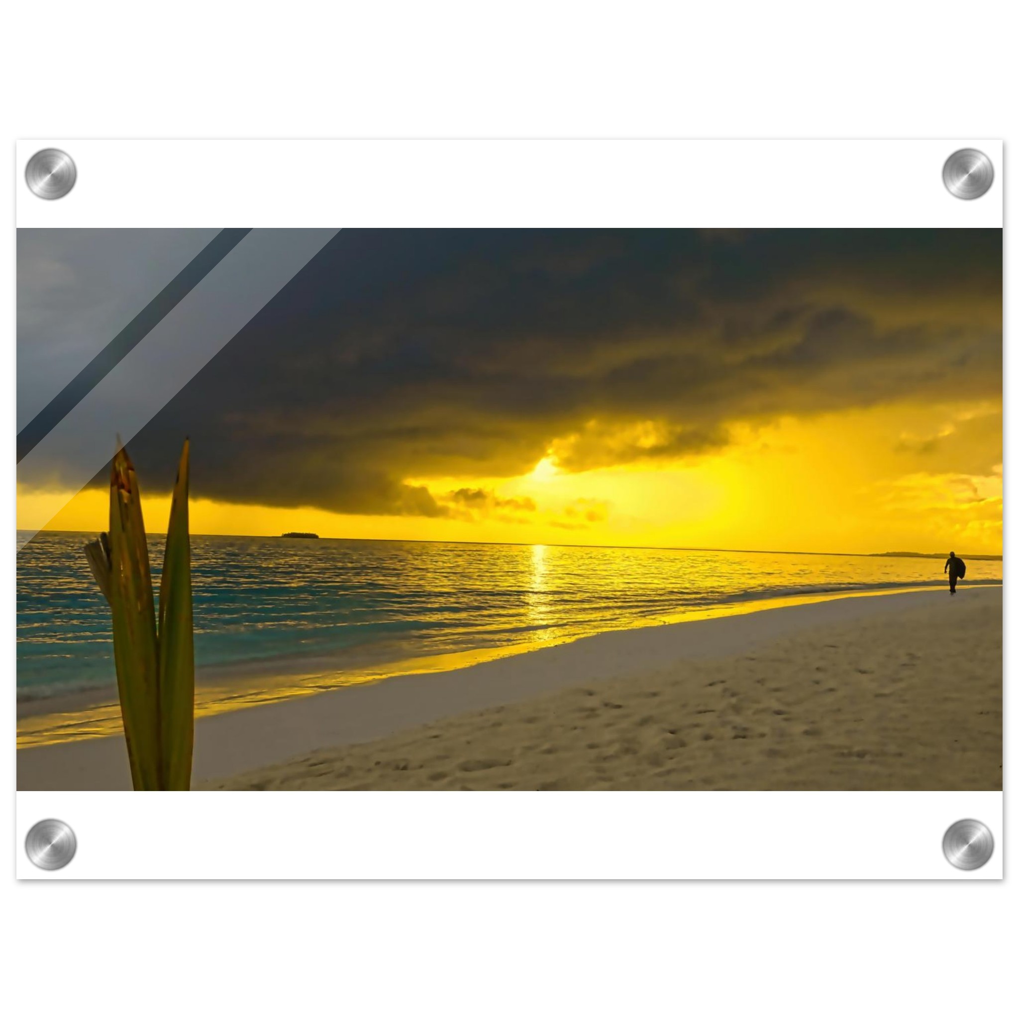 335a9d4c-2328-445d-a42e-1ee9e5253ec7