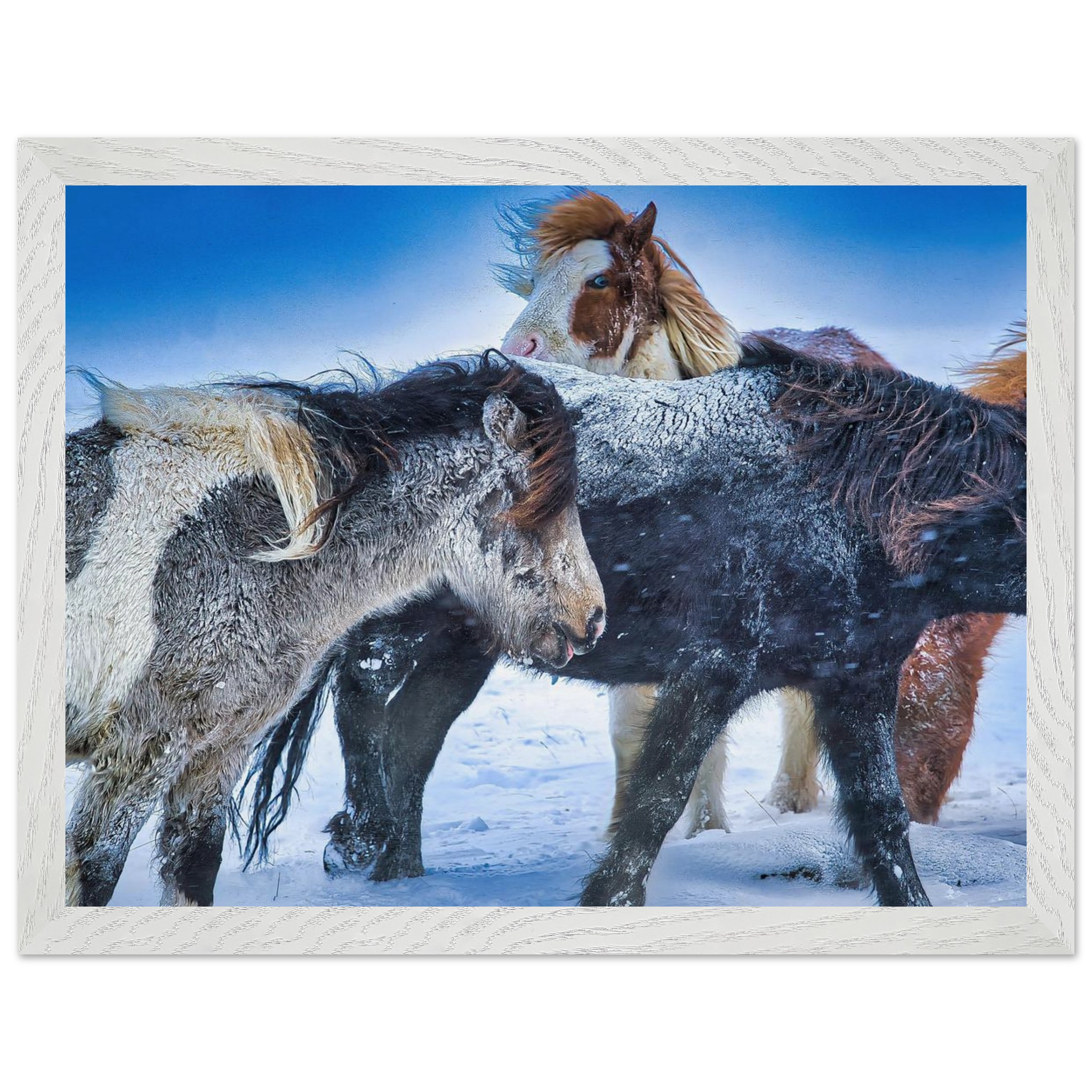 3619e5d6-48d0-4bb7-ad50-20fb80f8e73e