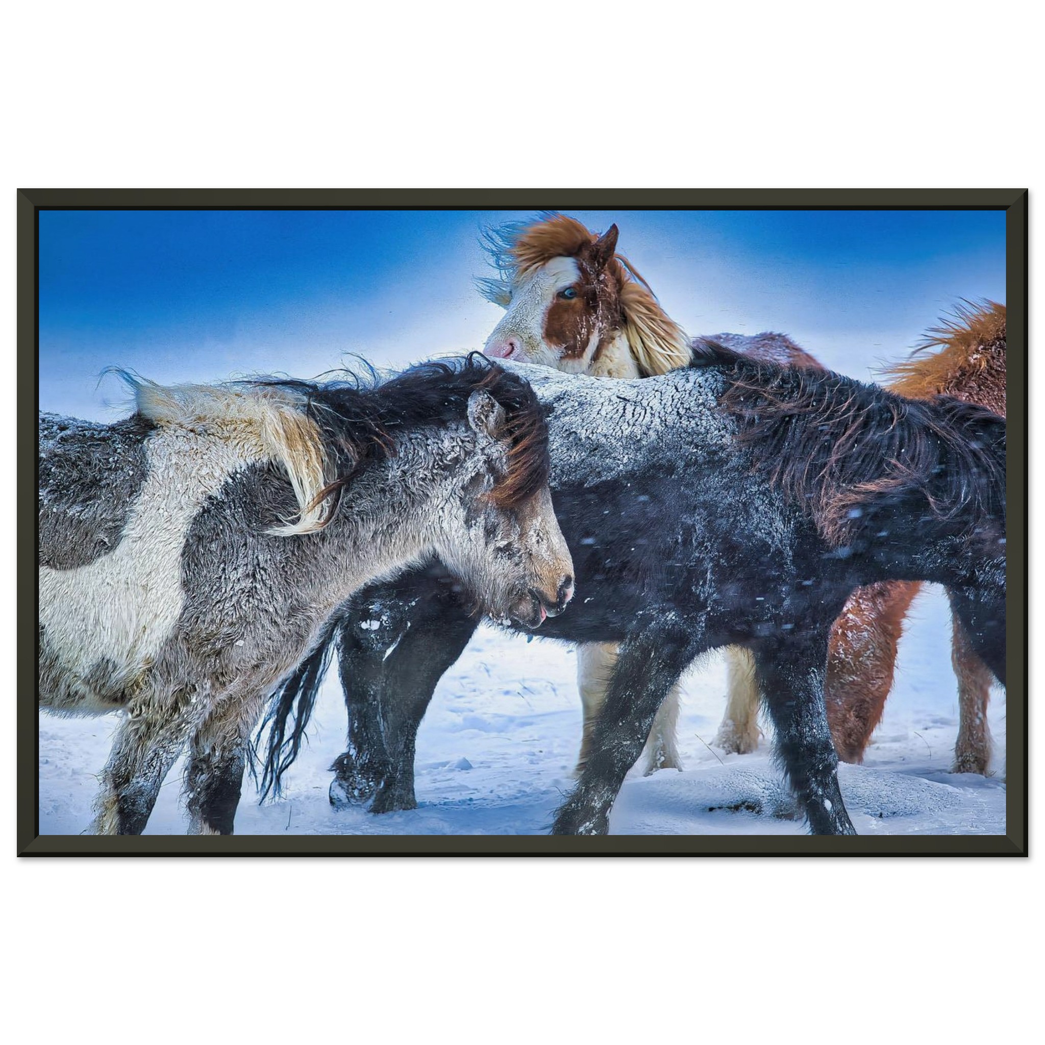 36694f2f-0b71-44ca-87e6-9170a6dc48ba