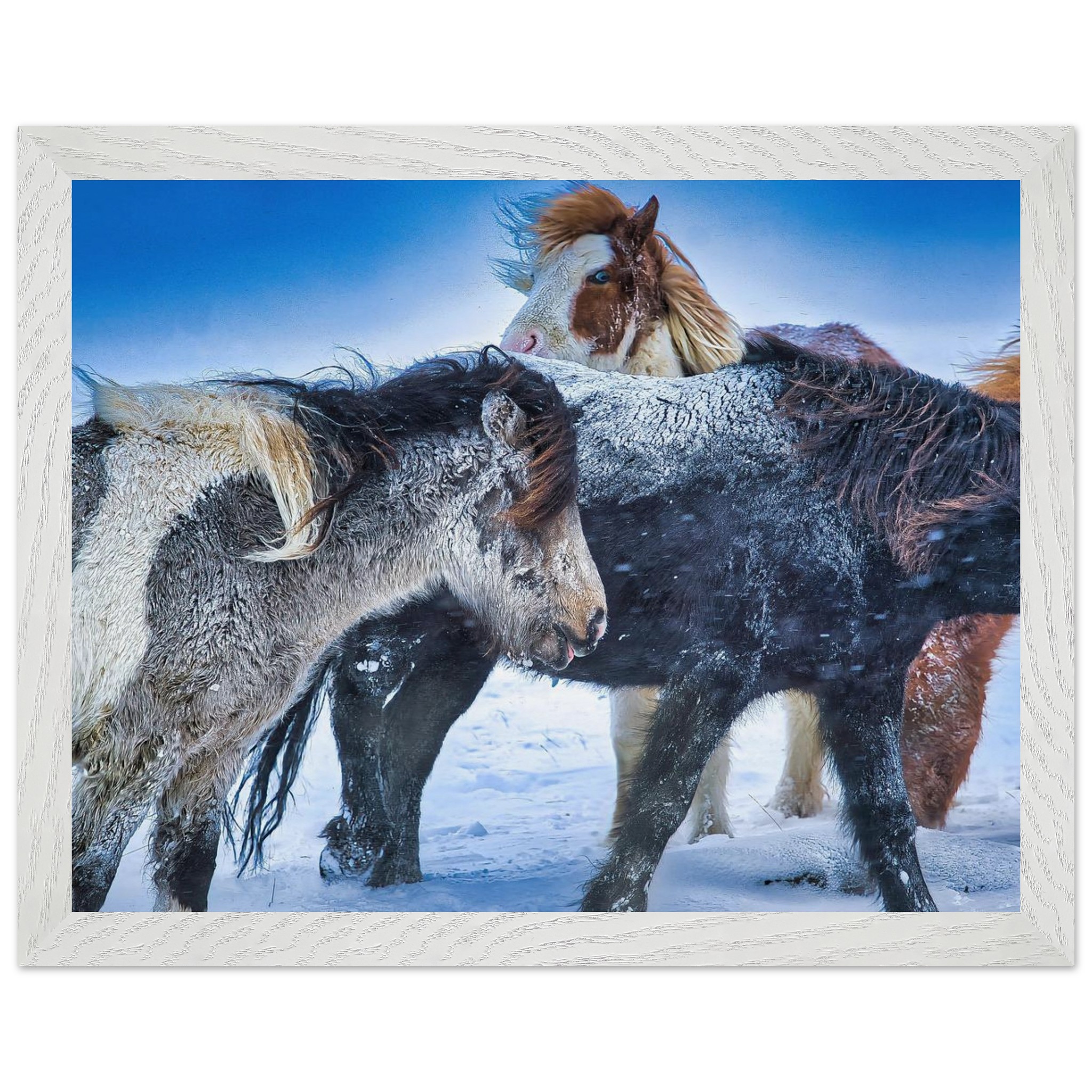 3ab556aa-1f36-428b-bb95-8a87f6097140