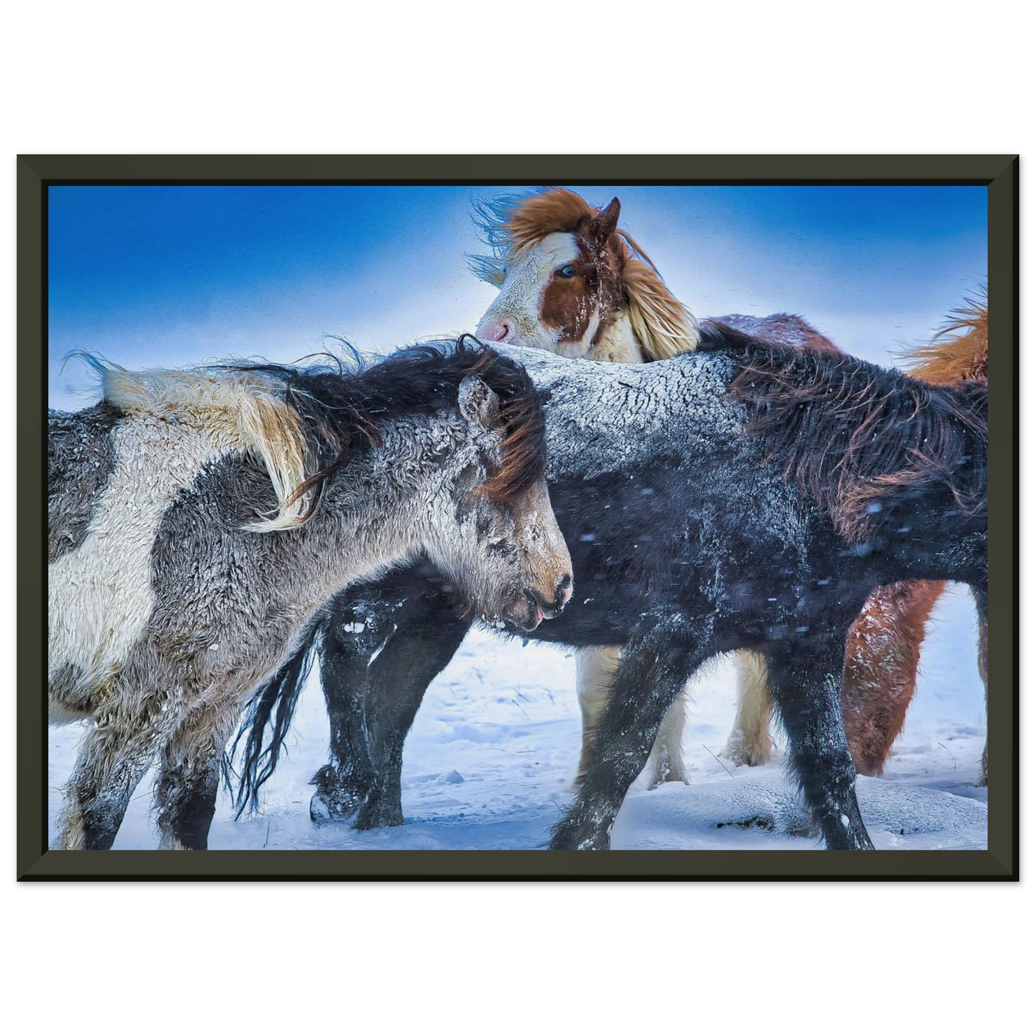 3d9ae904-6d03-44b3-9b01-3e7733bd6c7b