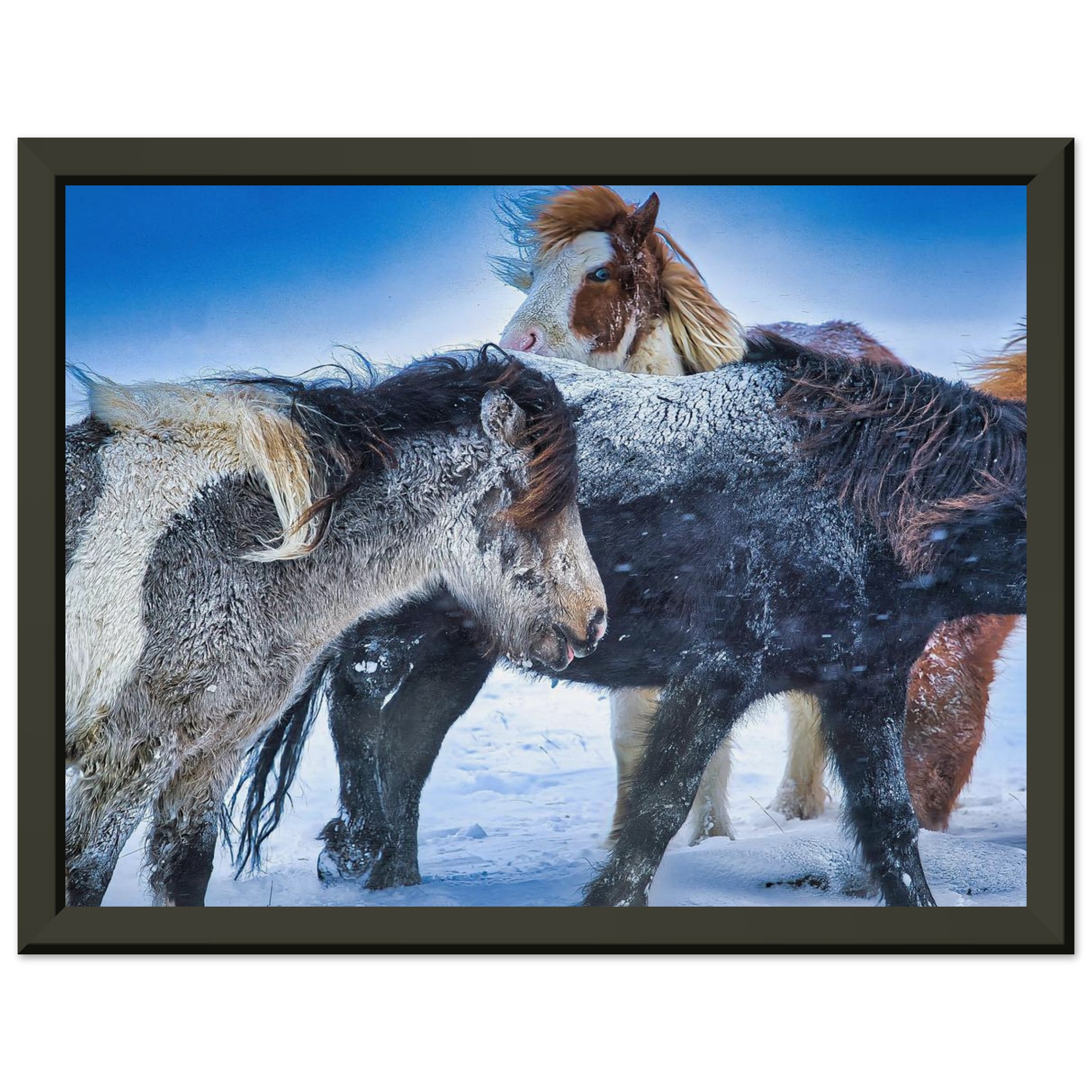 3efd3b13-fa39-40cd-b14d-3bb1beb2d38c