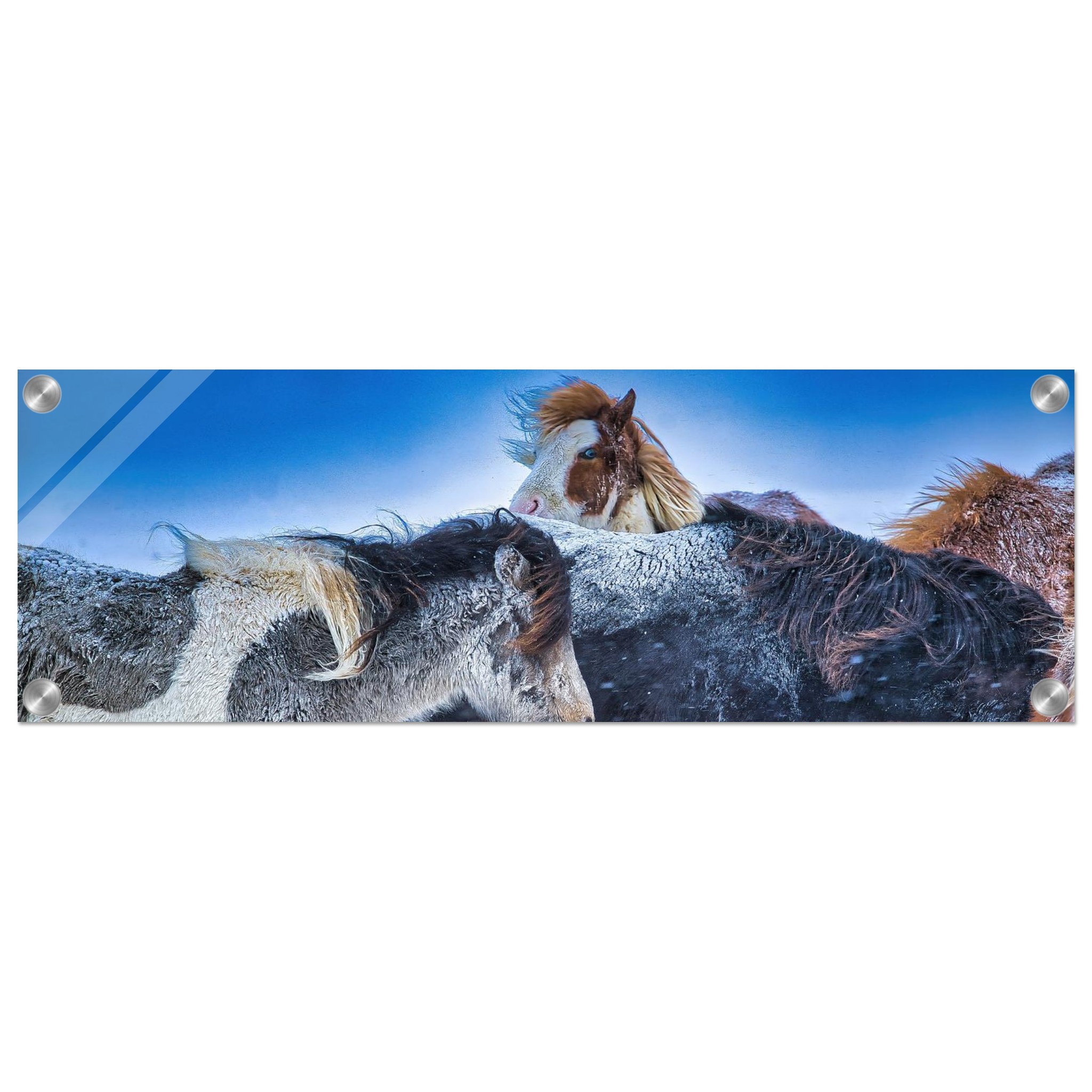 432fca49-5f5d-4964-8d5a-bccdeee24e76