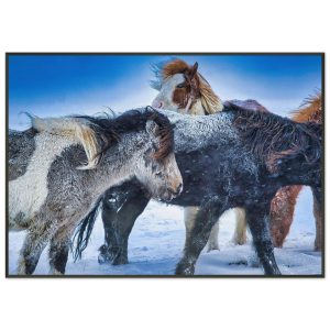 46b94bd1-9957-4296-ae8a-d1b99bbfb859