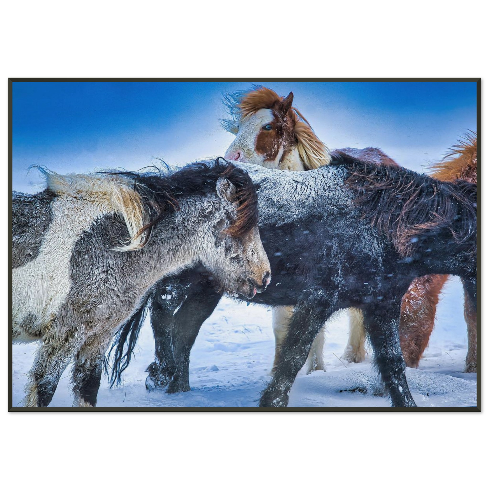 46b94bd1-9957-4296-ae8a-d1b99bbfb859