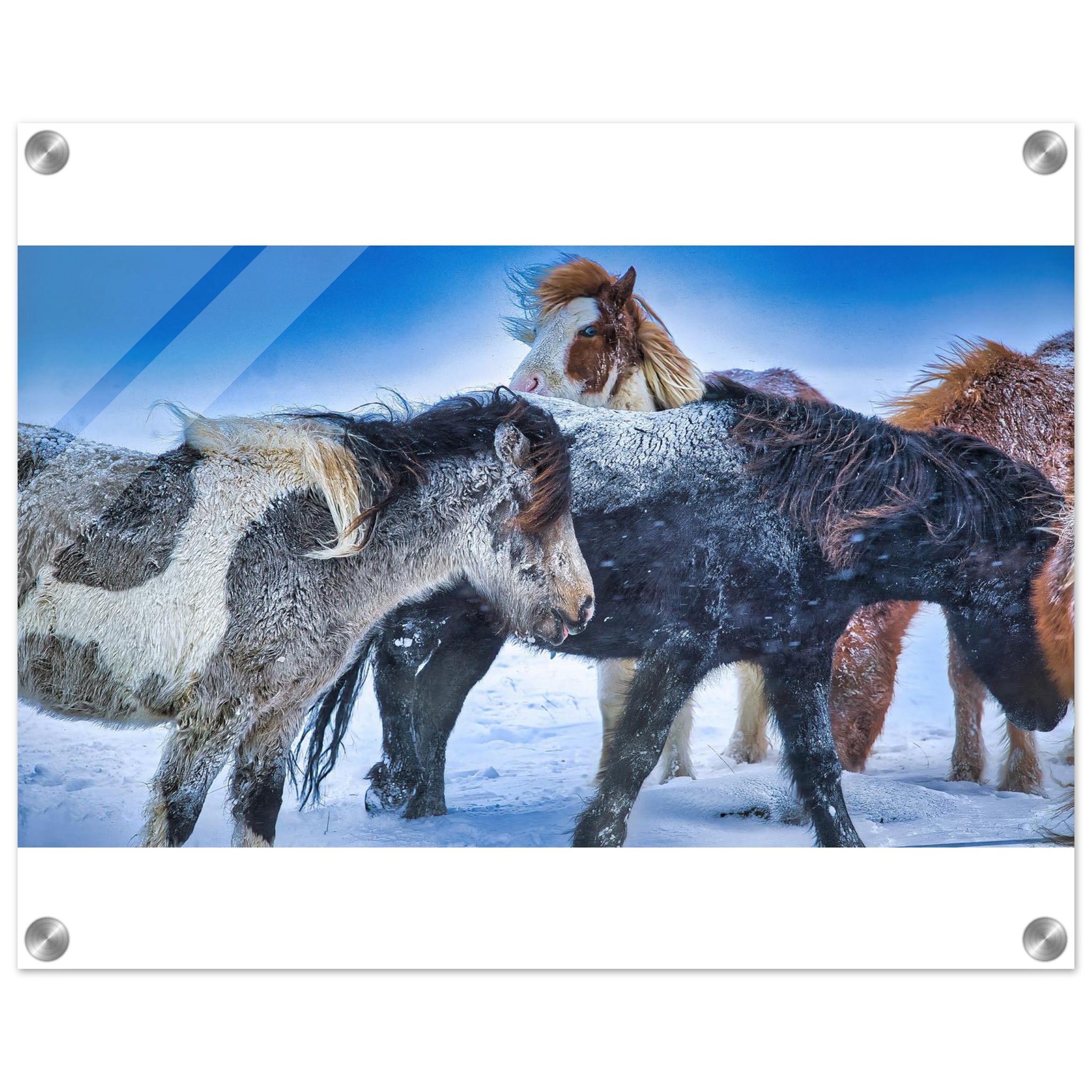 46fbb54a-6a6e-4ac4-a8f5-67382d0ce8e5