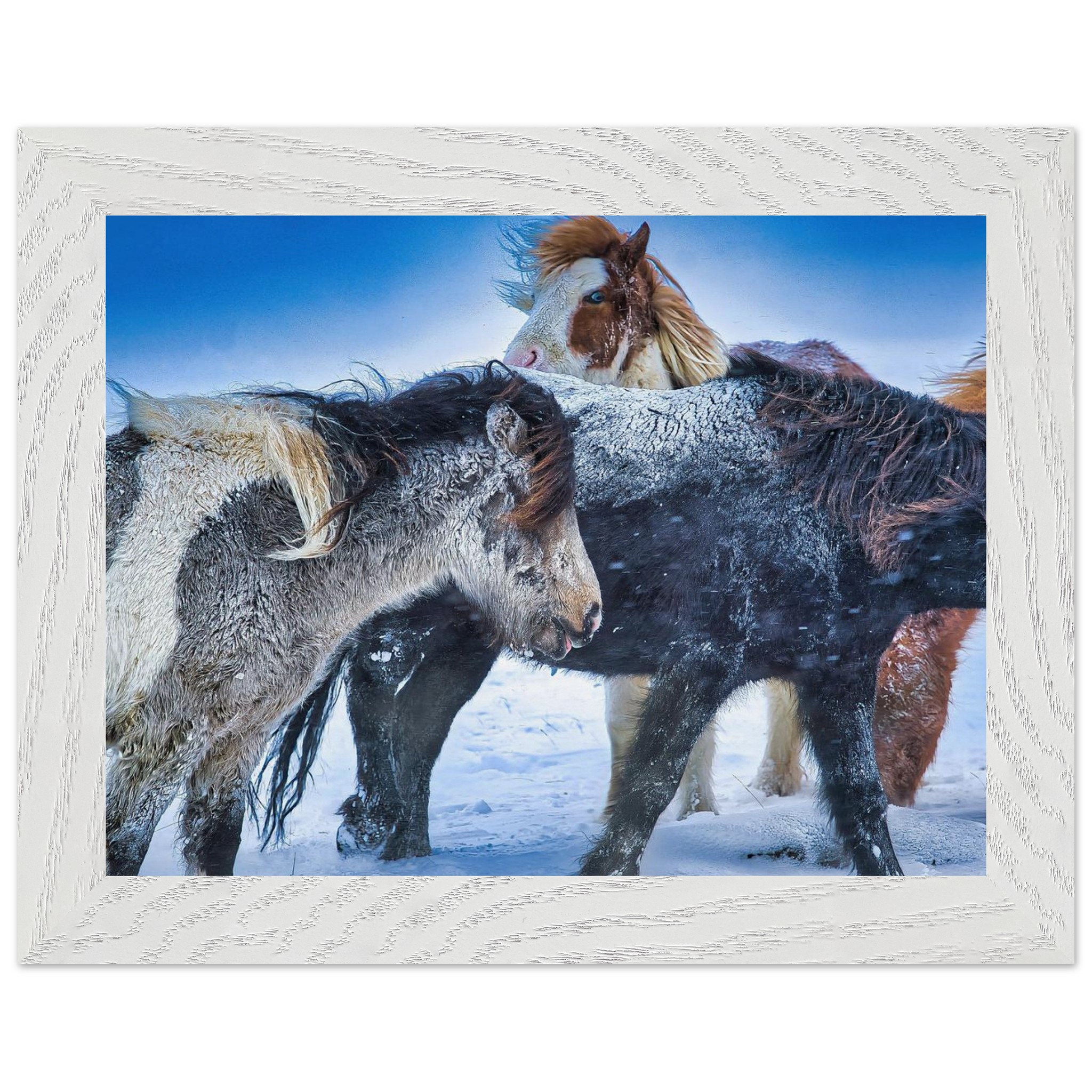 4ac5c0ca-29a9-4643-a4a0-8ef50d1ab2cd