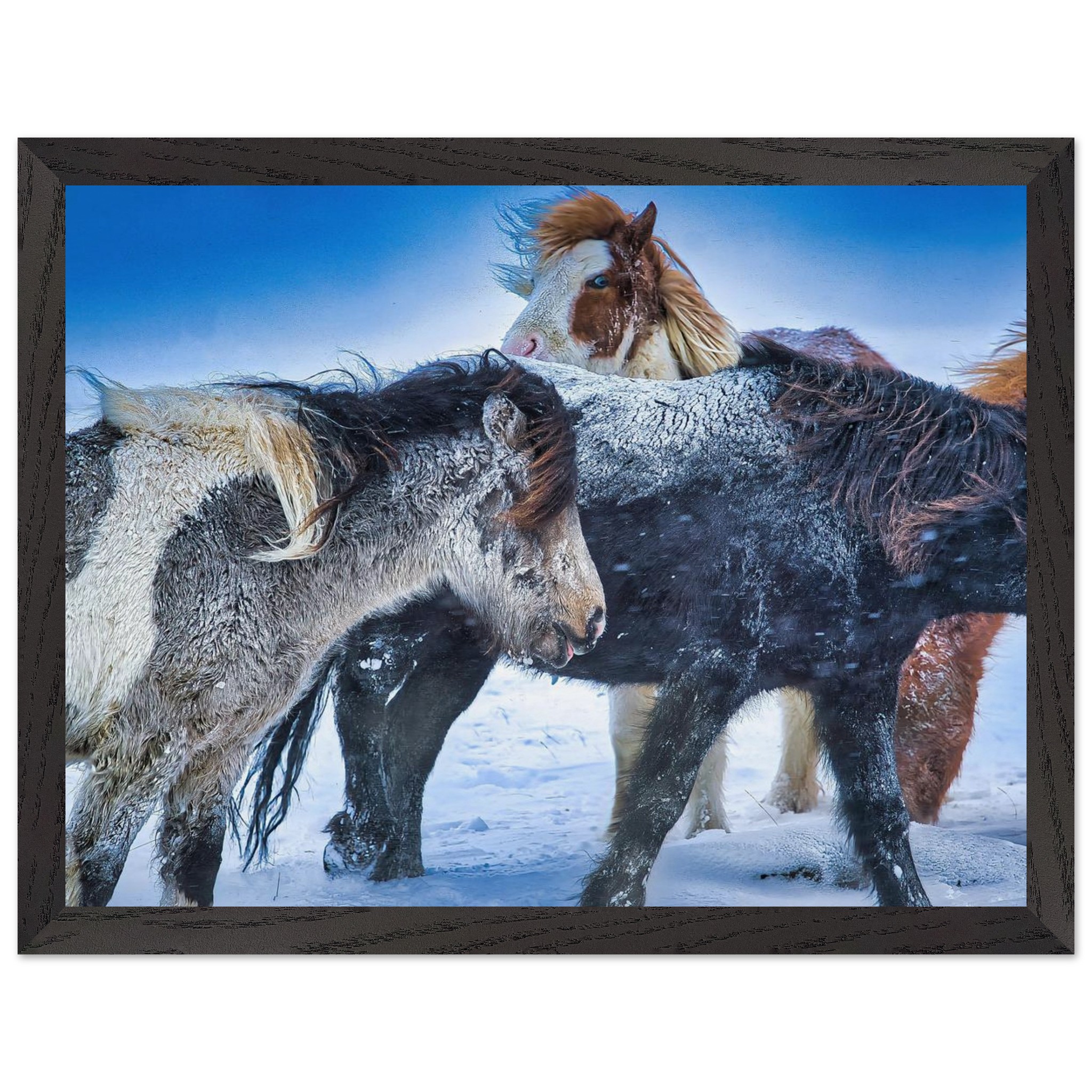 52f4a05c-90a8-432c-9b47-d63099c5bda3