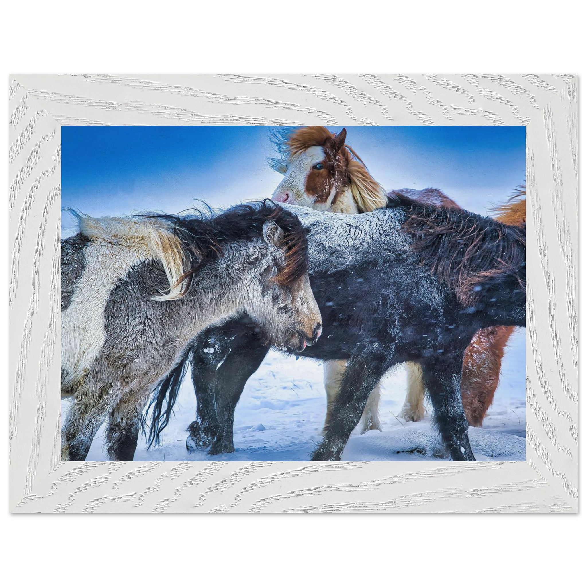 5845b825-24c2-4500-ae31-f311839a2f81