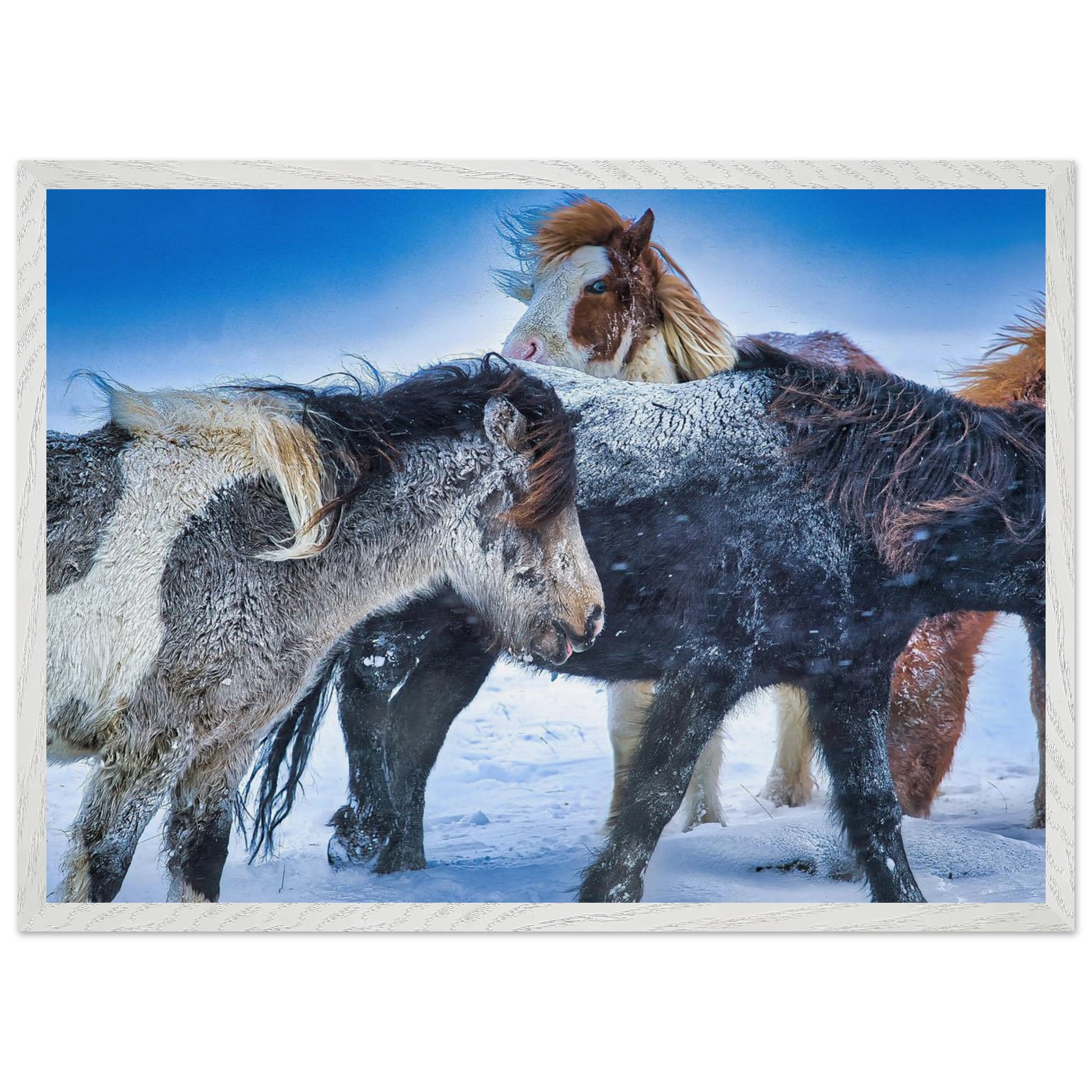 594fd427-8393-4b0e-9072-f731f1094df0