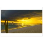 5a907d52-518b-4108-ae8d-4c8a2ddb3597