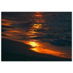 60a4d31b-f8f9-4d31-96ab-971cb655345f