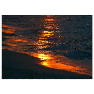 60a4d31b-f8f9-4d31-96ab-971cb655345f