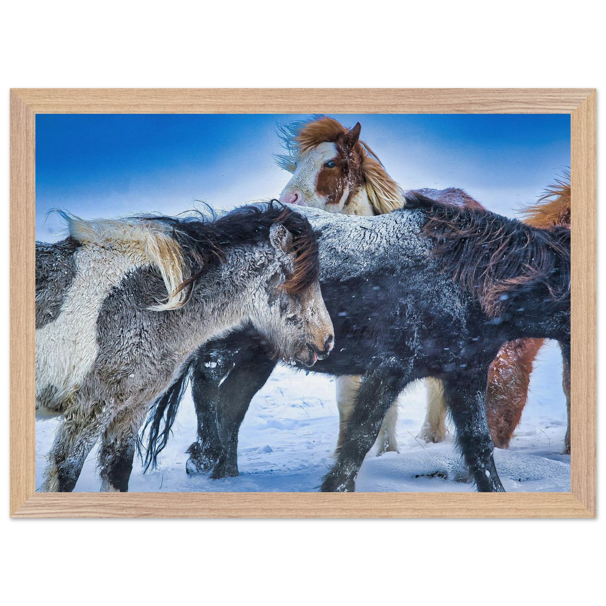 61fbfe48-a711-438f-9f0d-11efc5894a9b