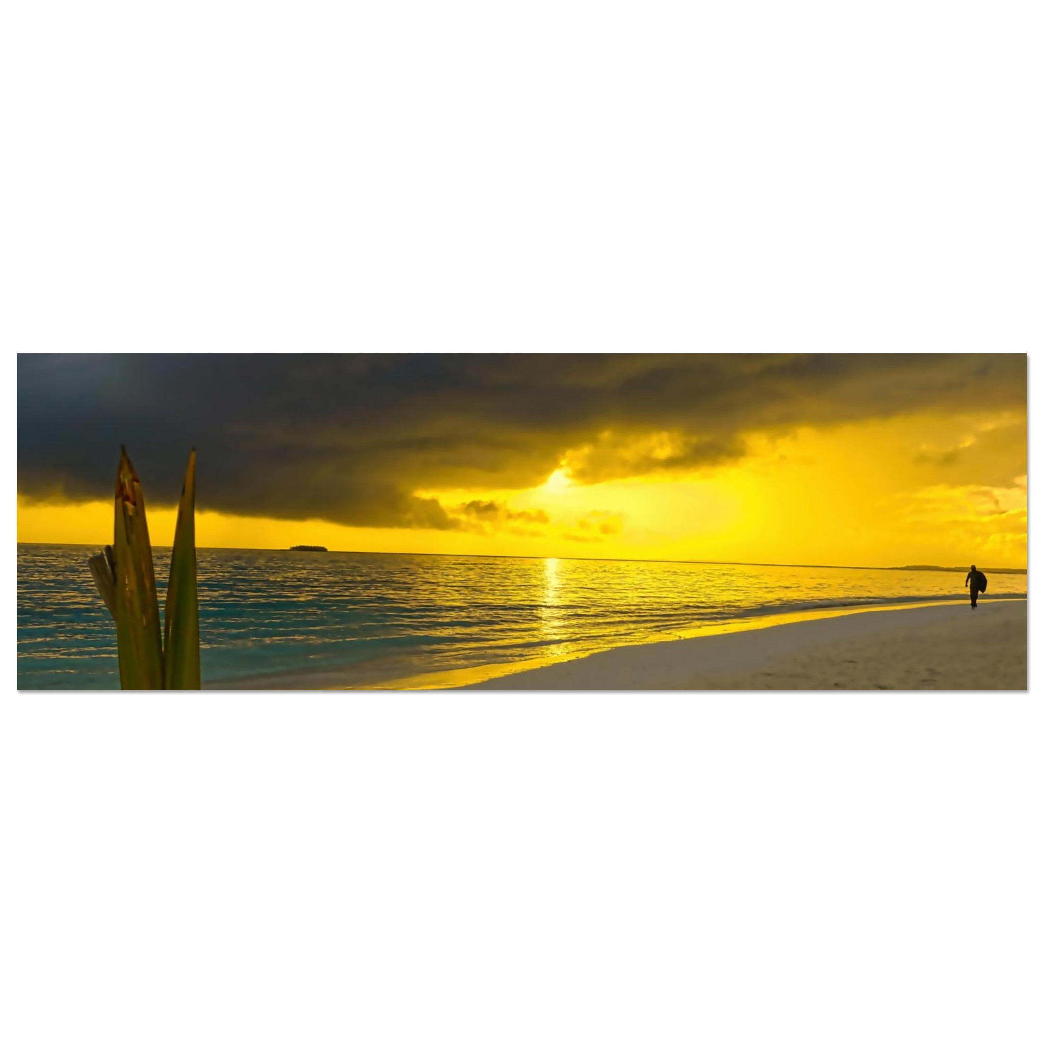 63299f43-9c3c-469b-a226-e97ecdd18165