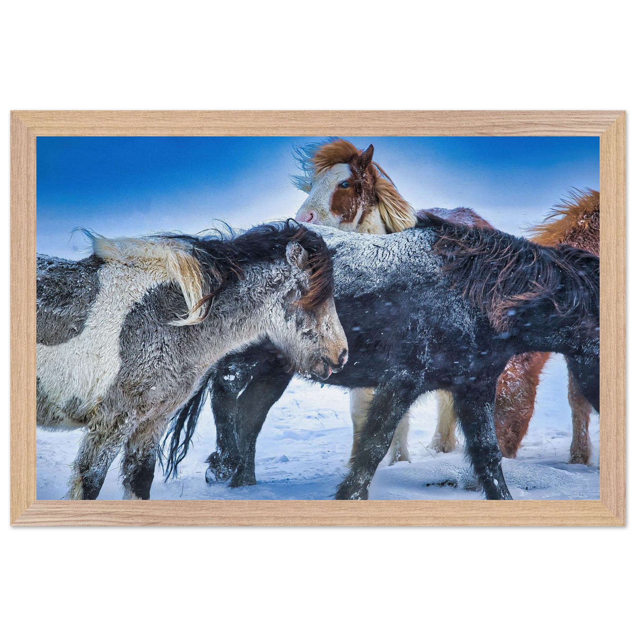 63dec12e-2fc5-4b9c-af34-cfcbdaff15aa