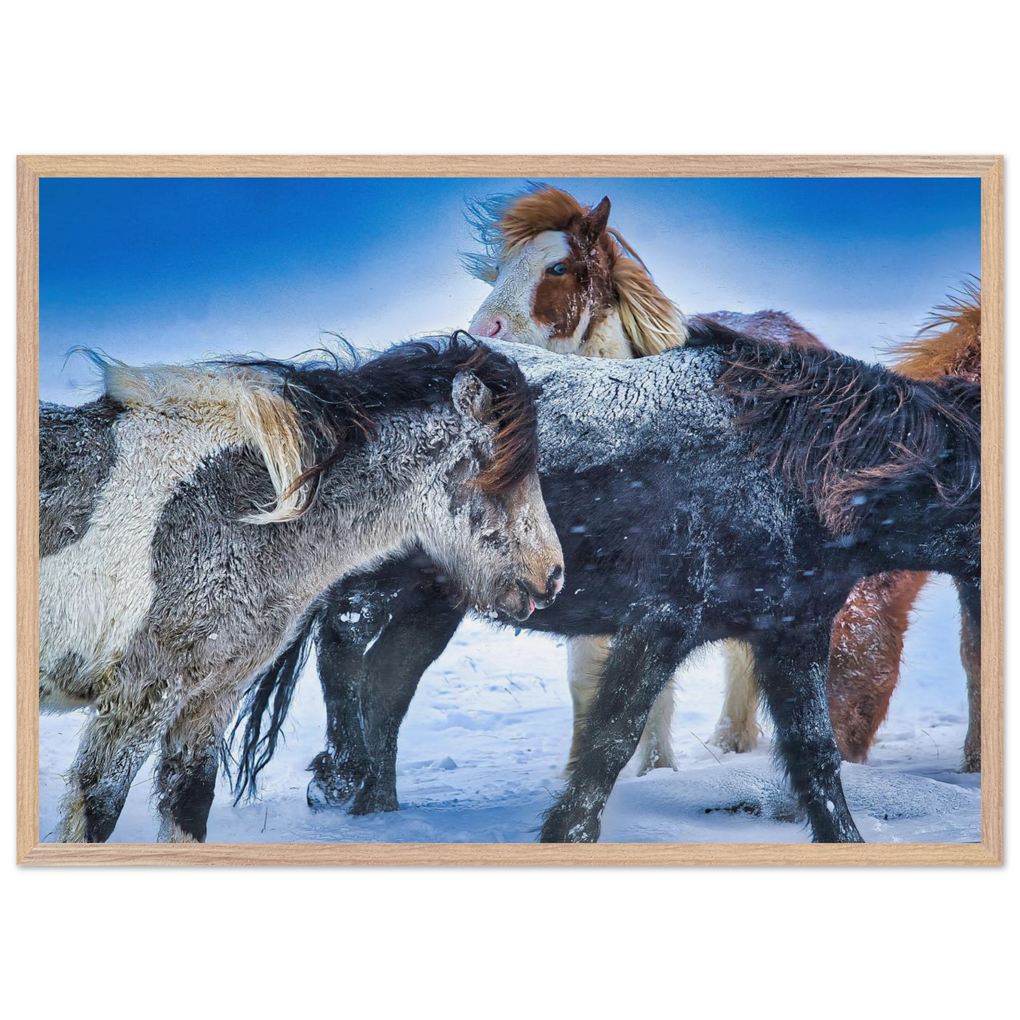 64a63932-51ed-4b6c-94d7-5e86c2be021b