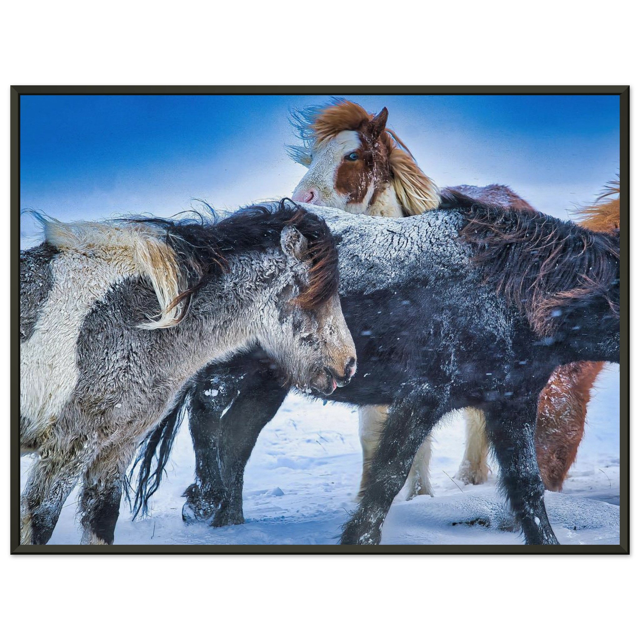 650e9011-8023-4c12-90b8-3d738c1797d4