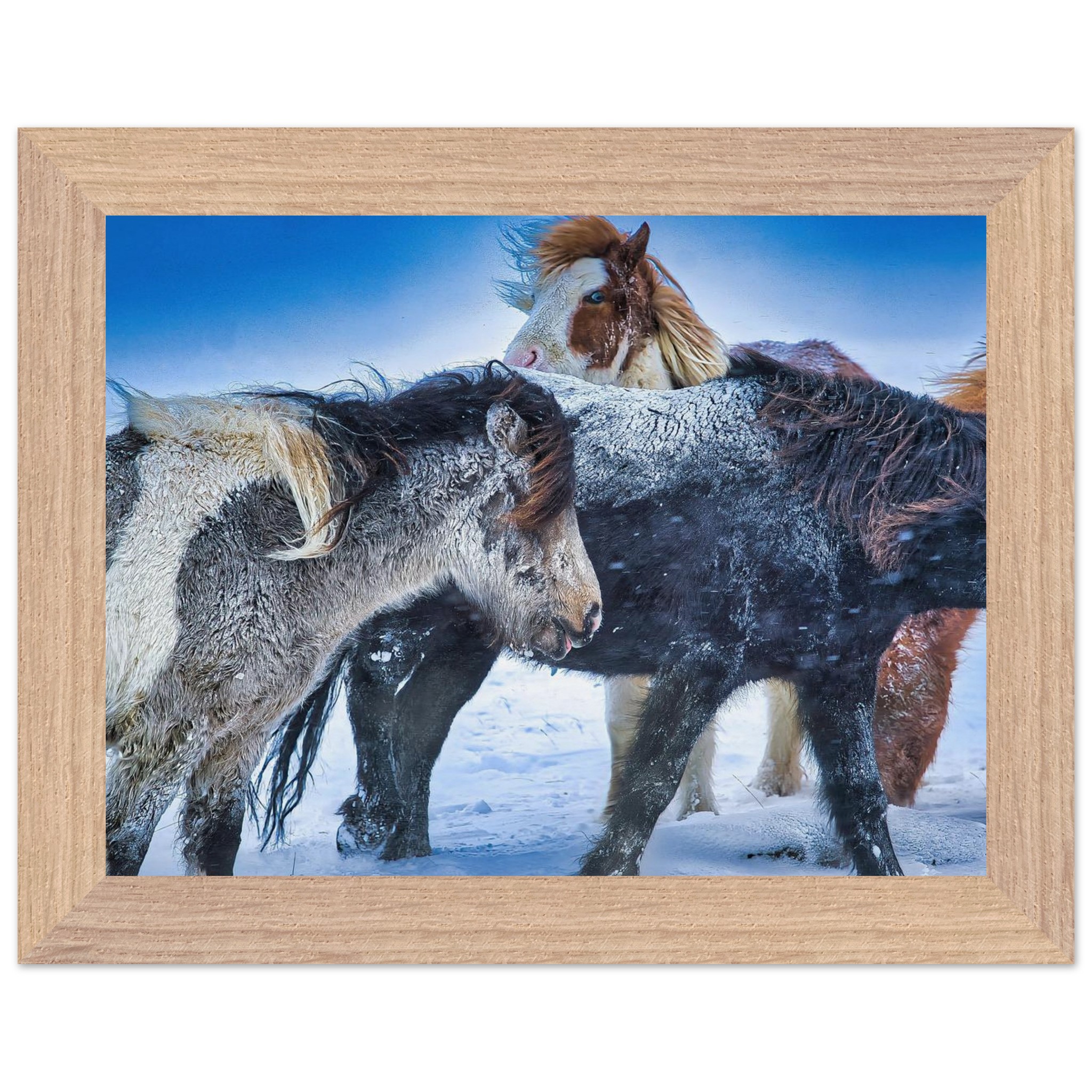 66aa5420-524c-45b4-a0a2-ecf593c70428