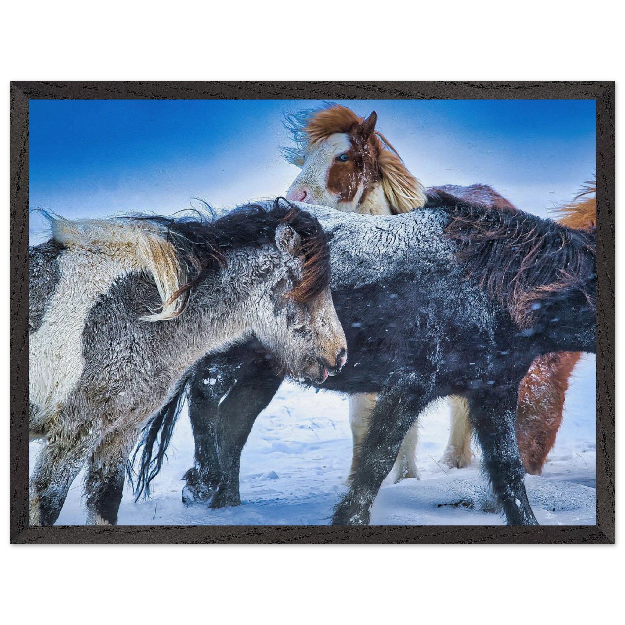 66c34d1e-124e-41c8-9974-3a66056181f7