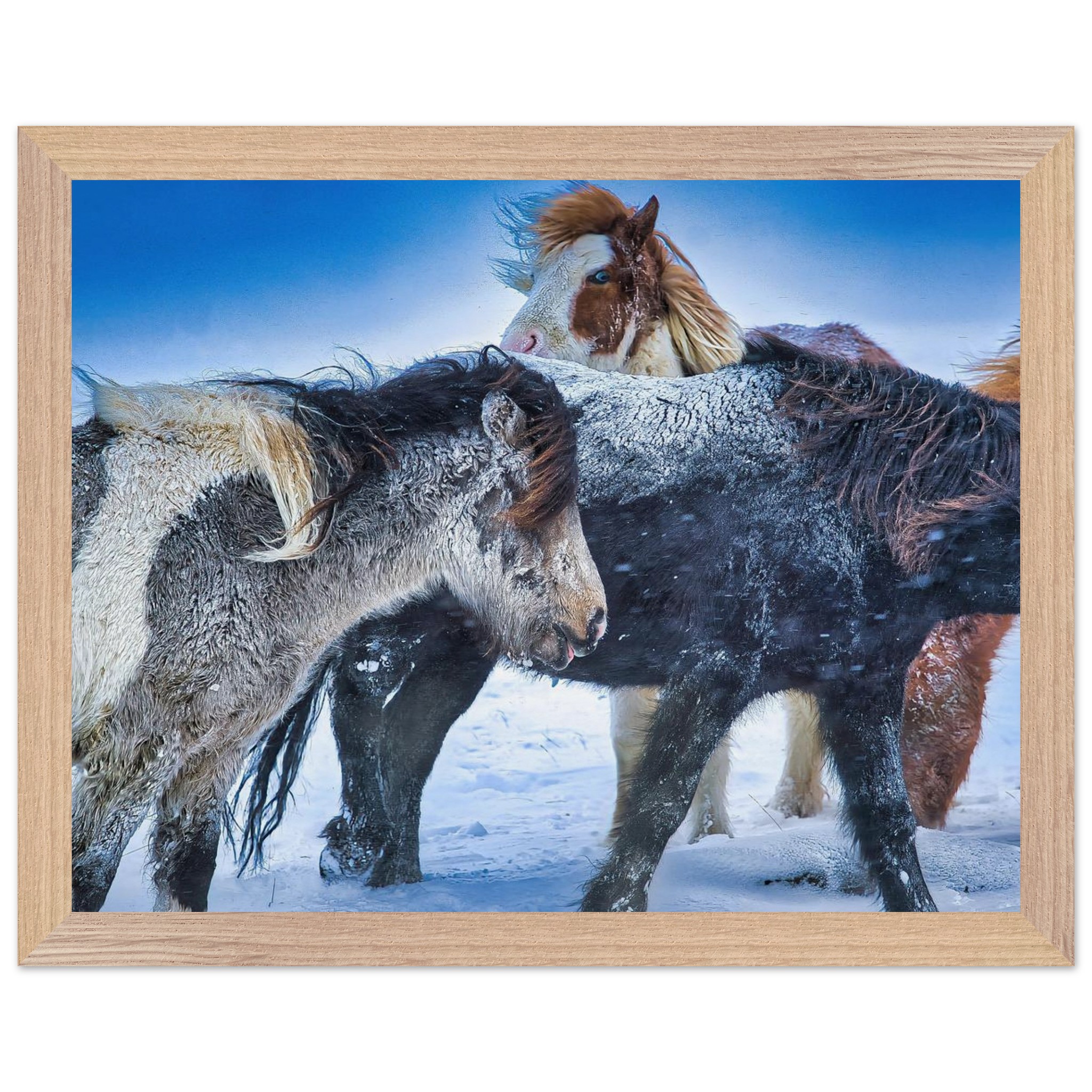 695312a7-6939-4cae-8eb6-bdb56d02b2c2