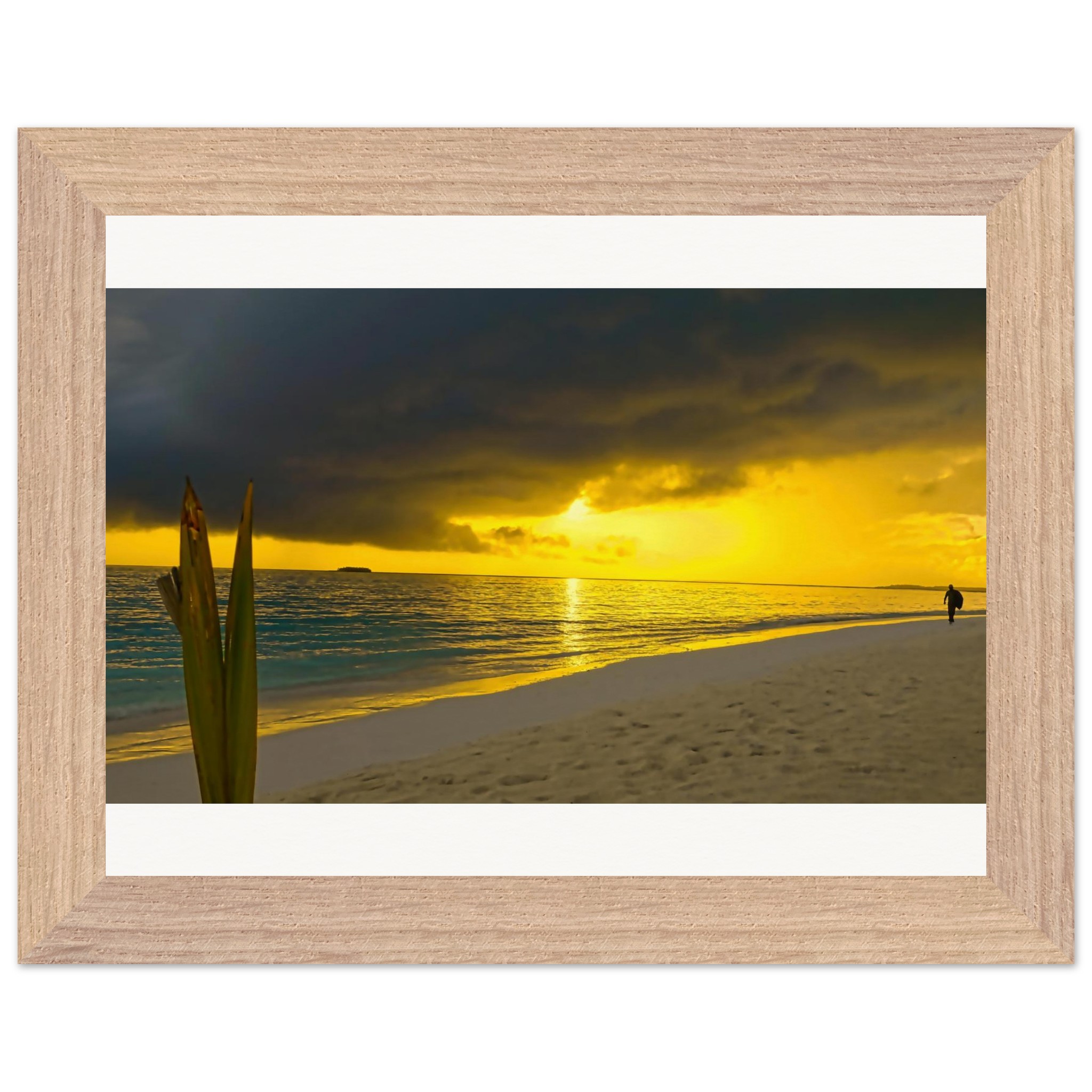 6a6ae3c2-a8ab-4583-9b74-55472ec0b8c5