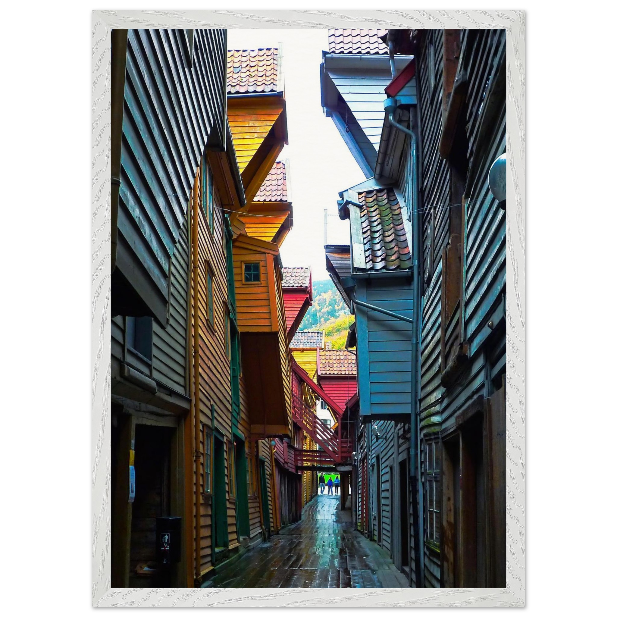 6c475e23-e516-4c3a-ad51-af02ebacb7a6