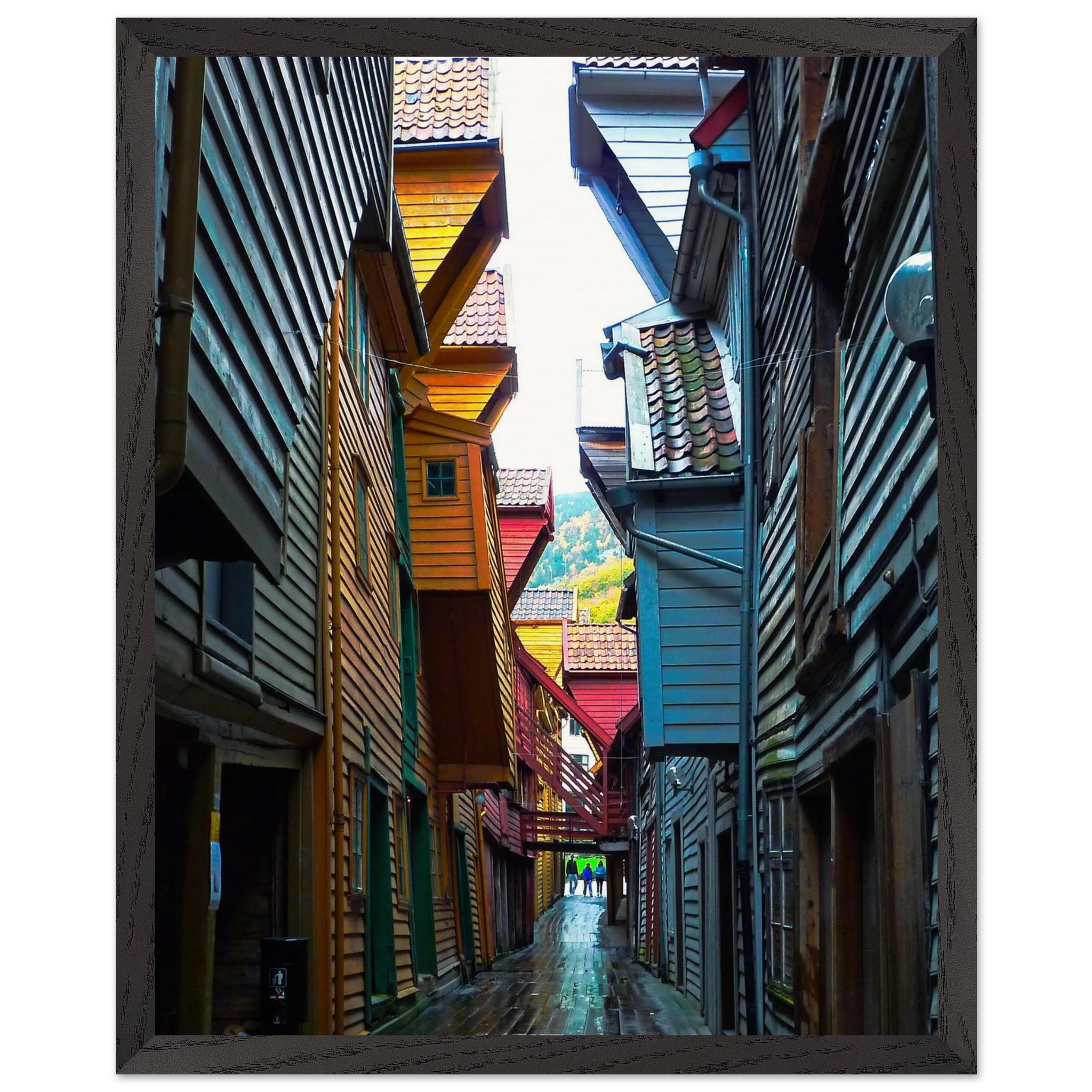 70acaeeb-1121-41d8-9fd1-42794c72e28f