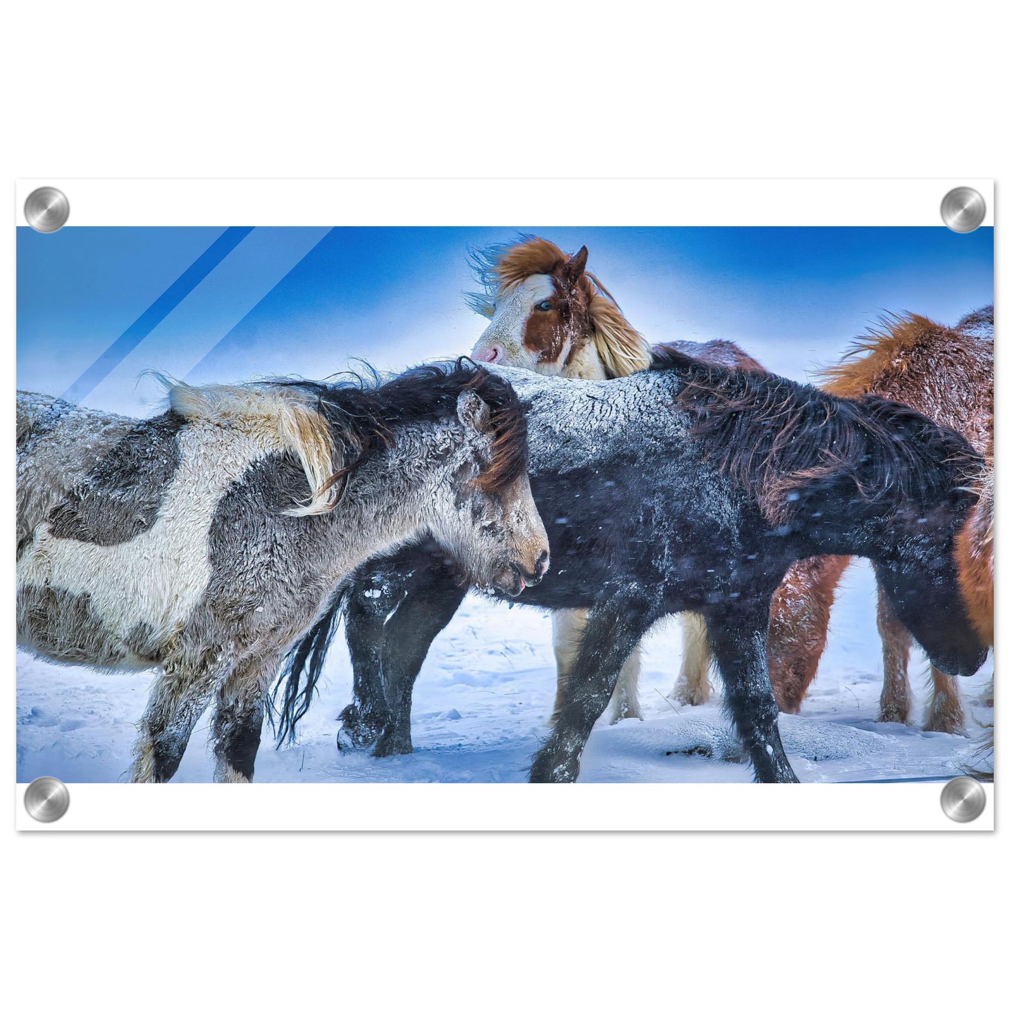 717a4f9d-13dc-4394-82a3-424e934f5255