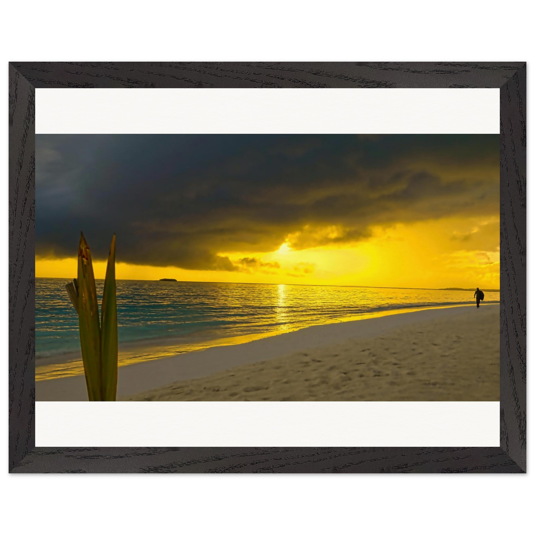 7185d16f-1207-401b-a4d2-f91ef649f31a