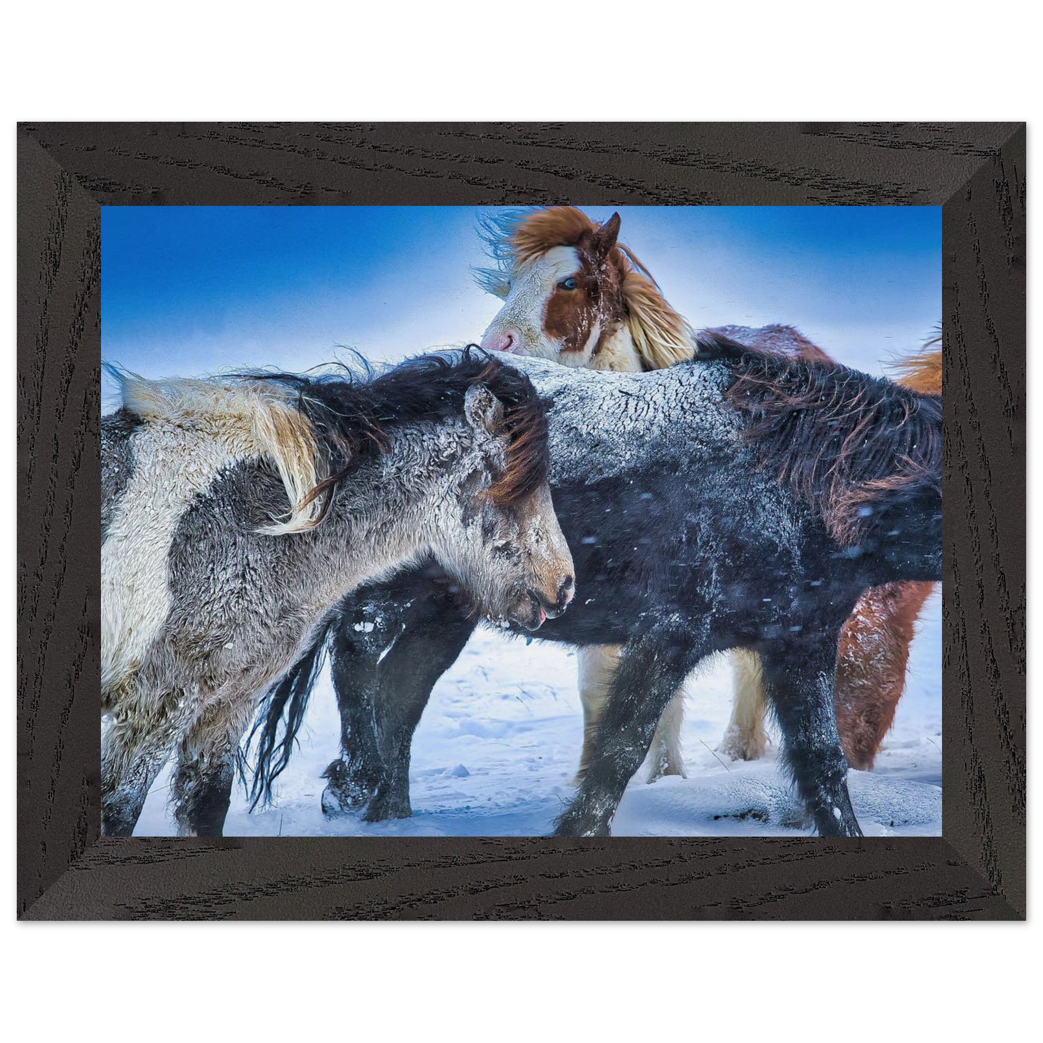 71ebf48e-ce11-4504-8d72-1c1109bc4203