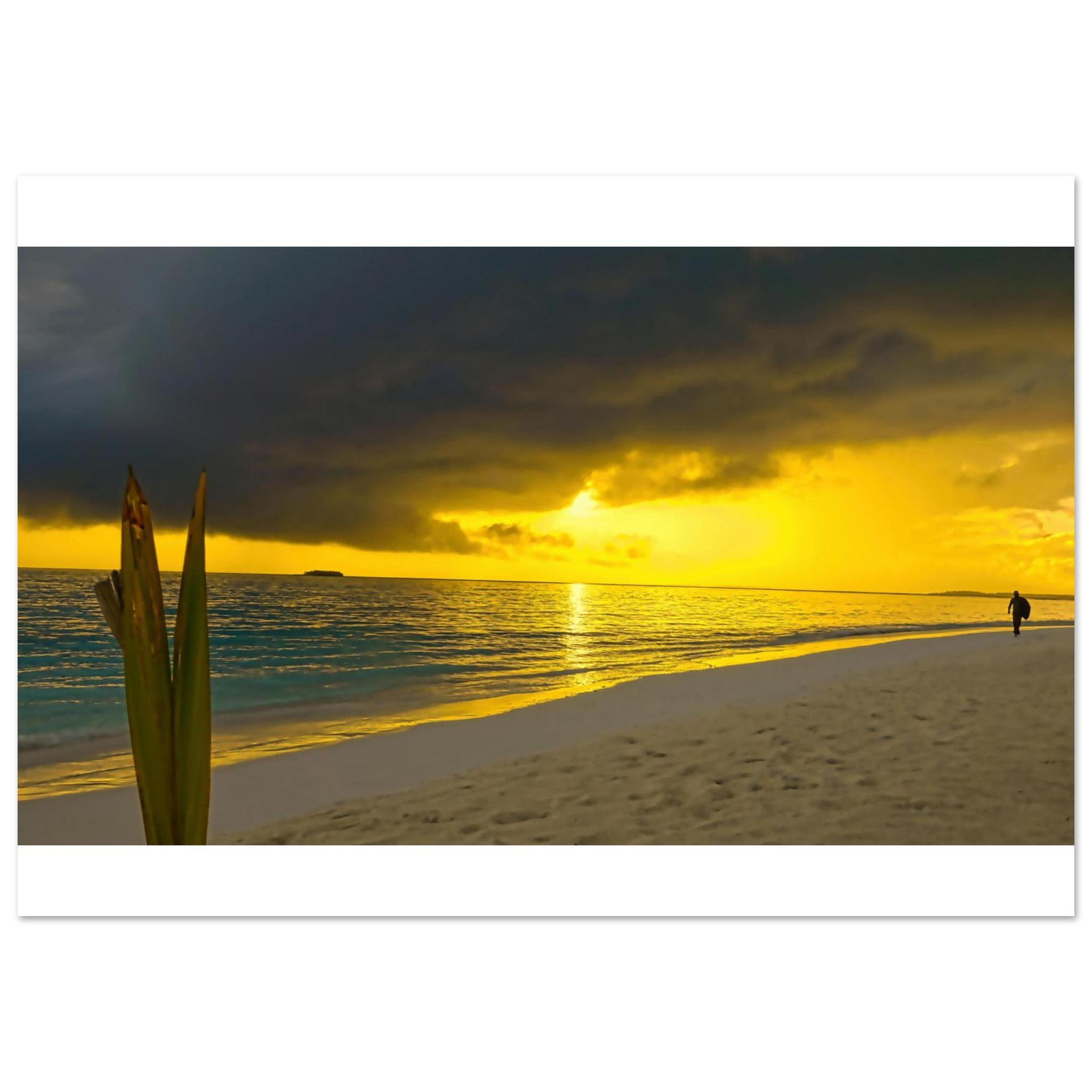 729976ce-4197-4970-8f65-376d9959393a