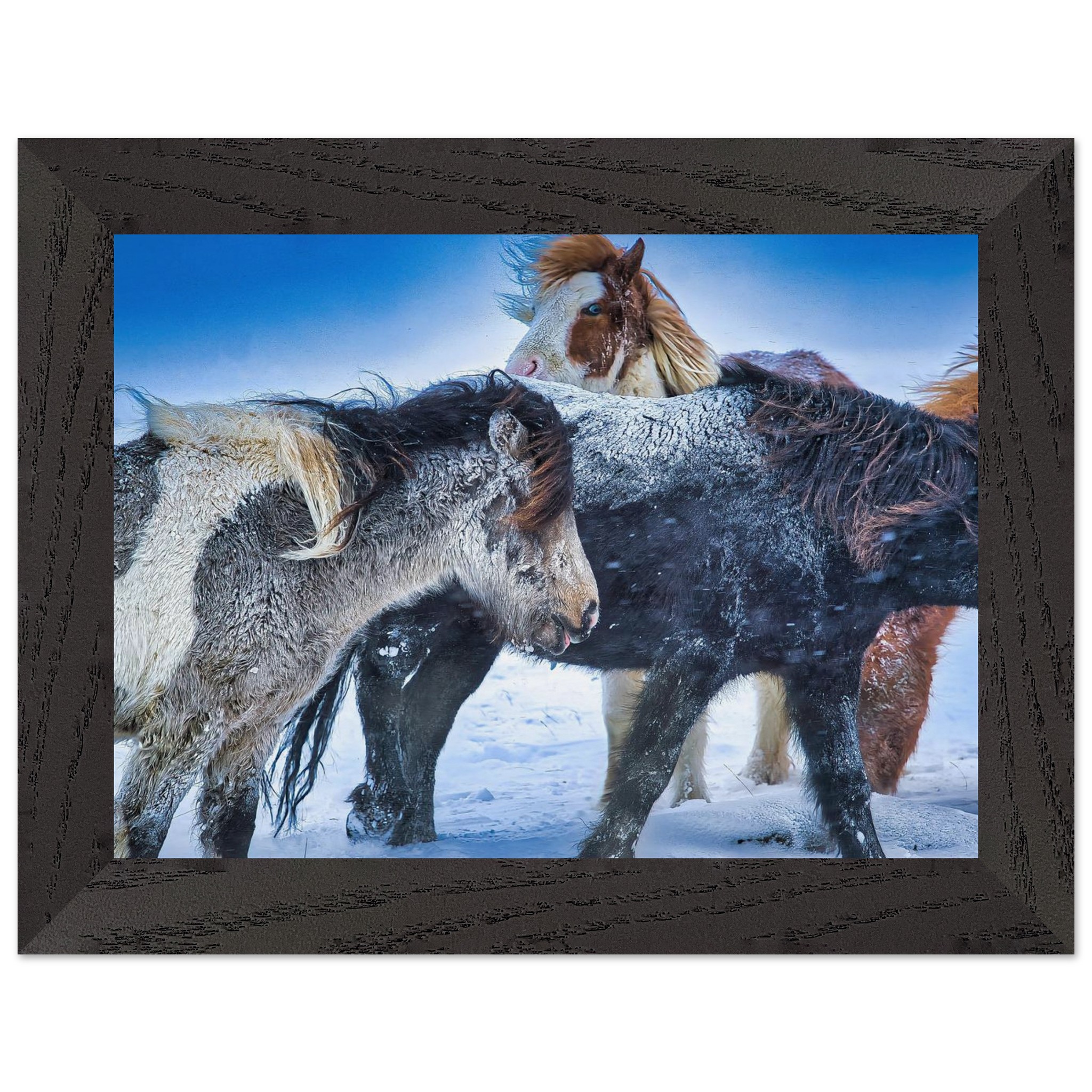 75740193-7905-48dd-873a-11feb4694565